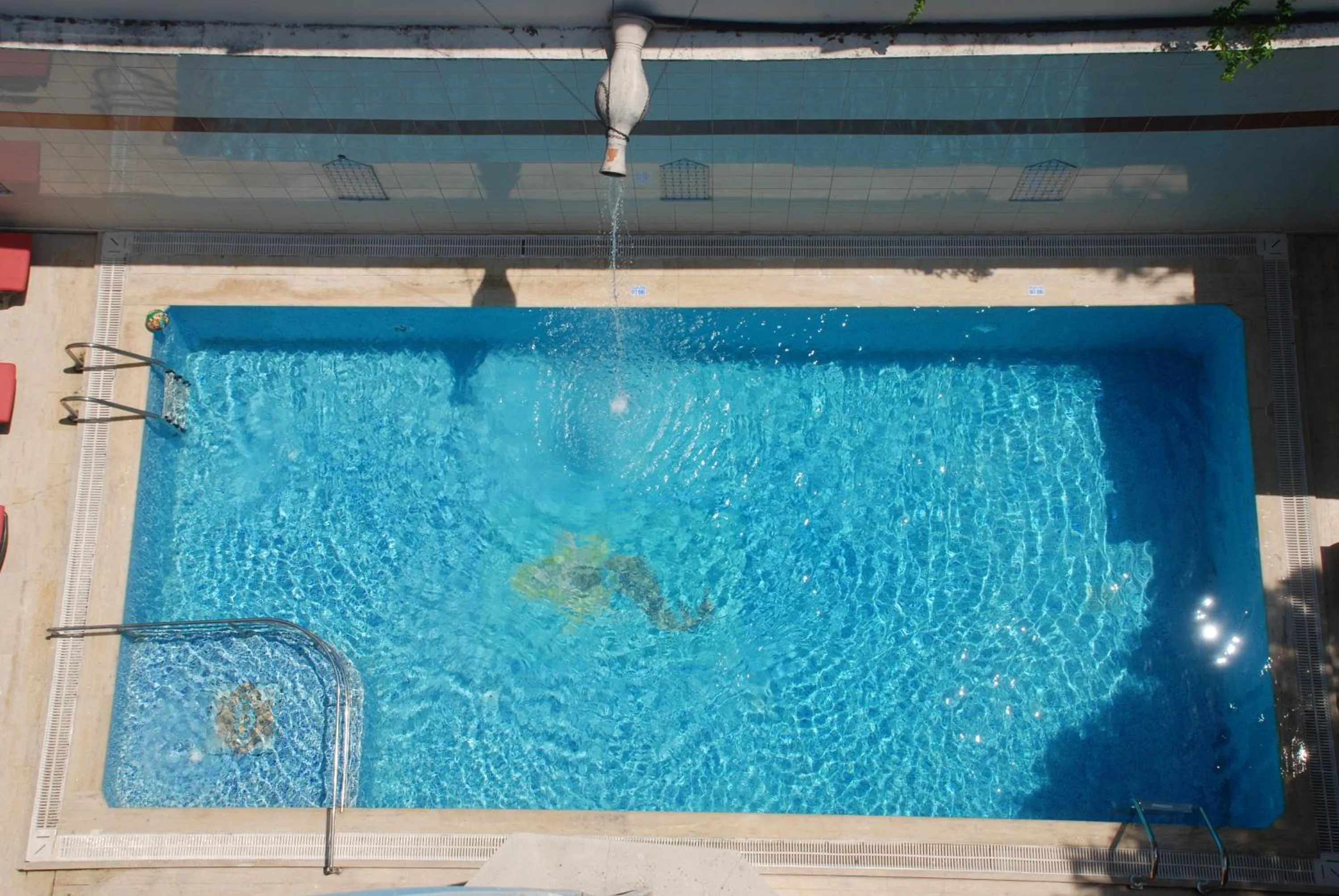 Restaurant/places to eat in Nasa Flora Hotel