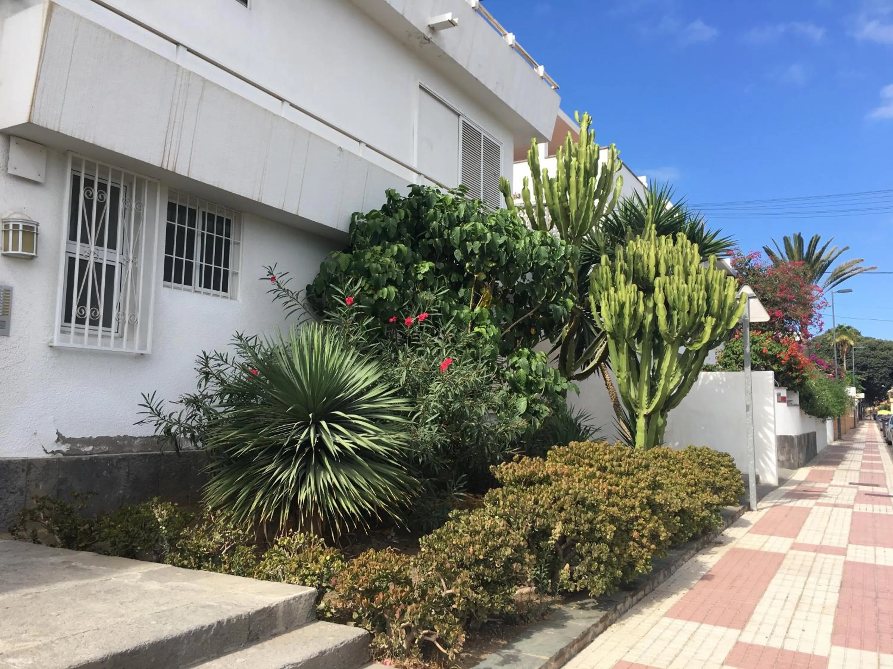 Neighbourhood in Estudios Ciudad Jardín