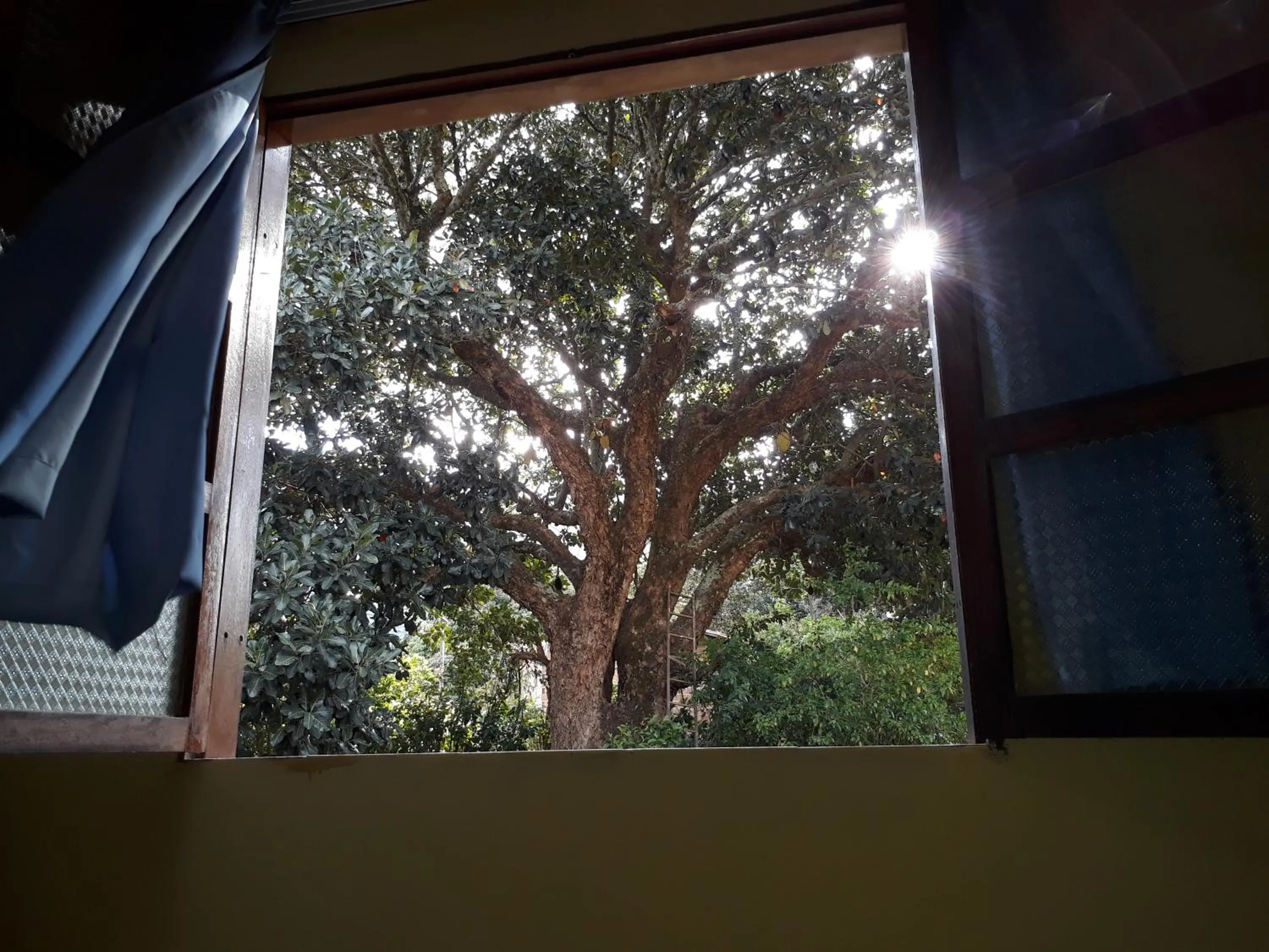 Garden view in Casa da Trilha