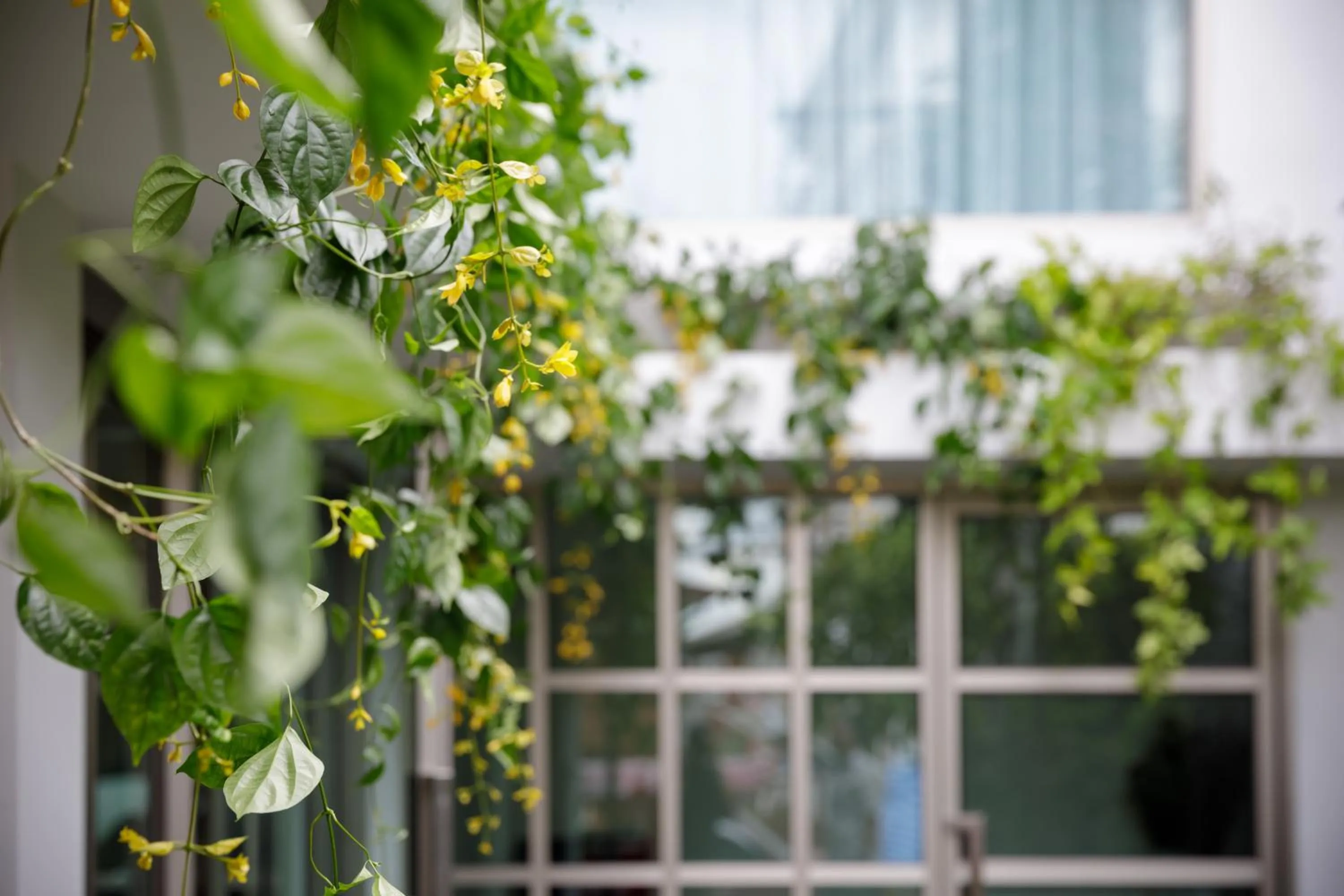 Property building in 9 SUITE Luxury Boutique Hotel