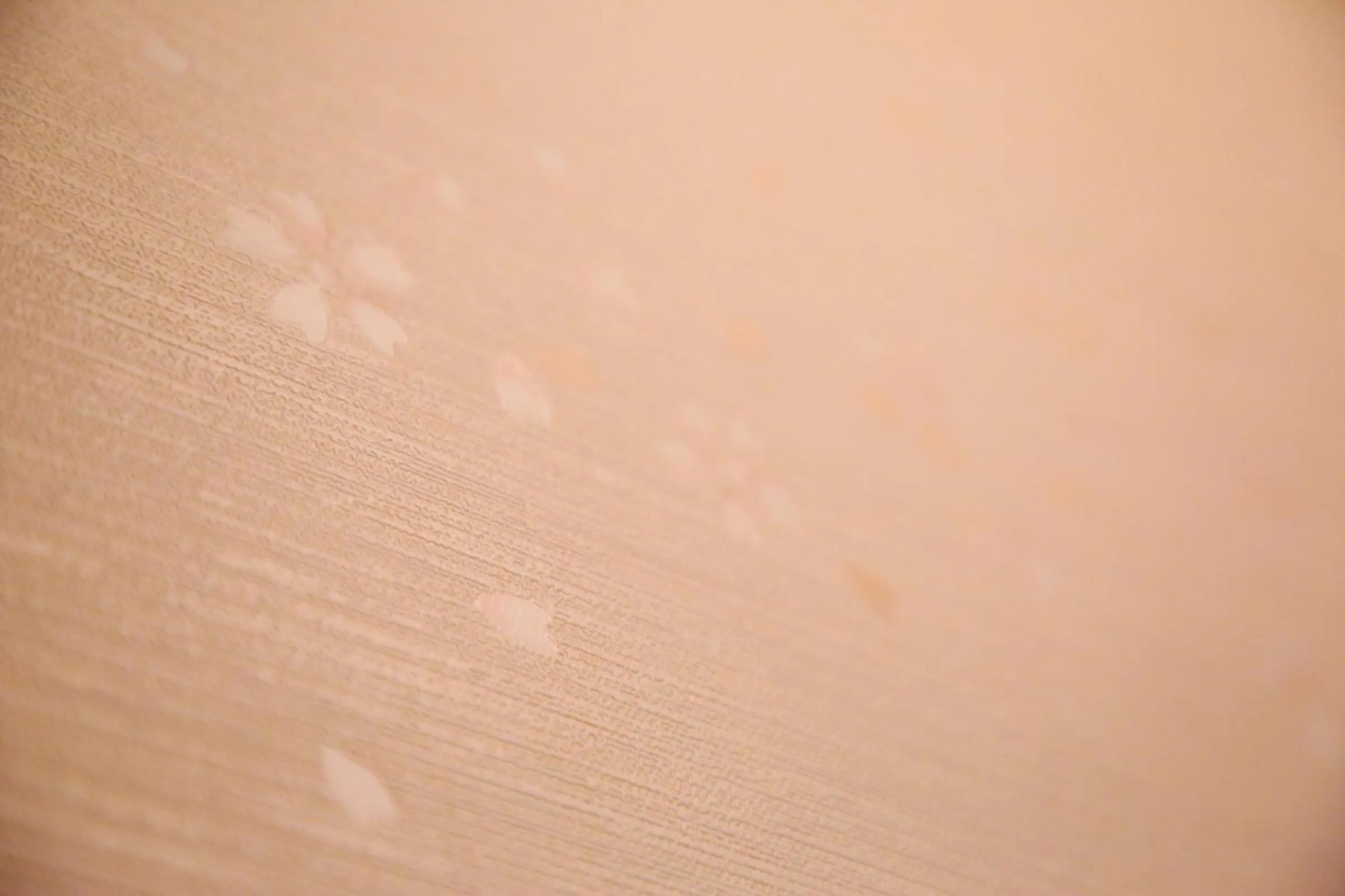 Decorative detail in Oyado Tofukuji 2