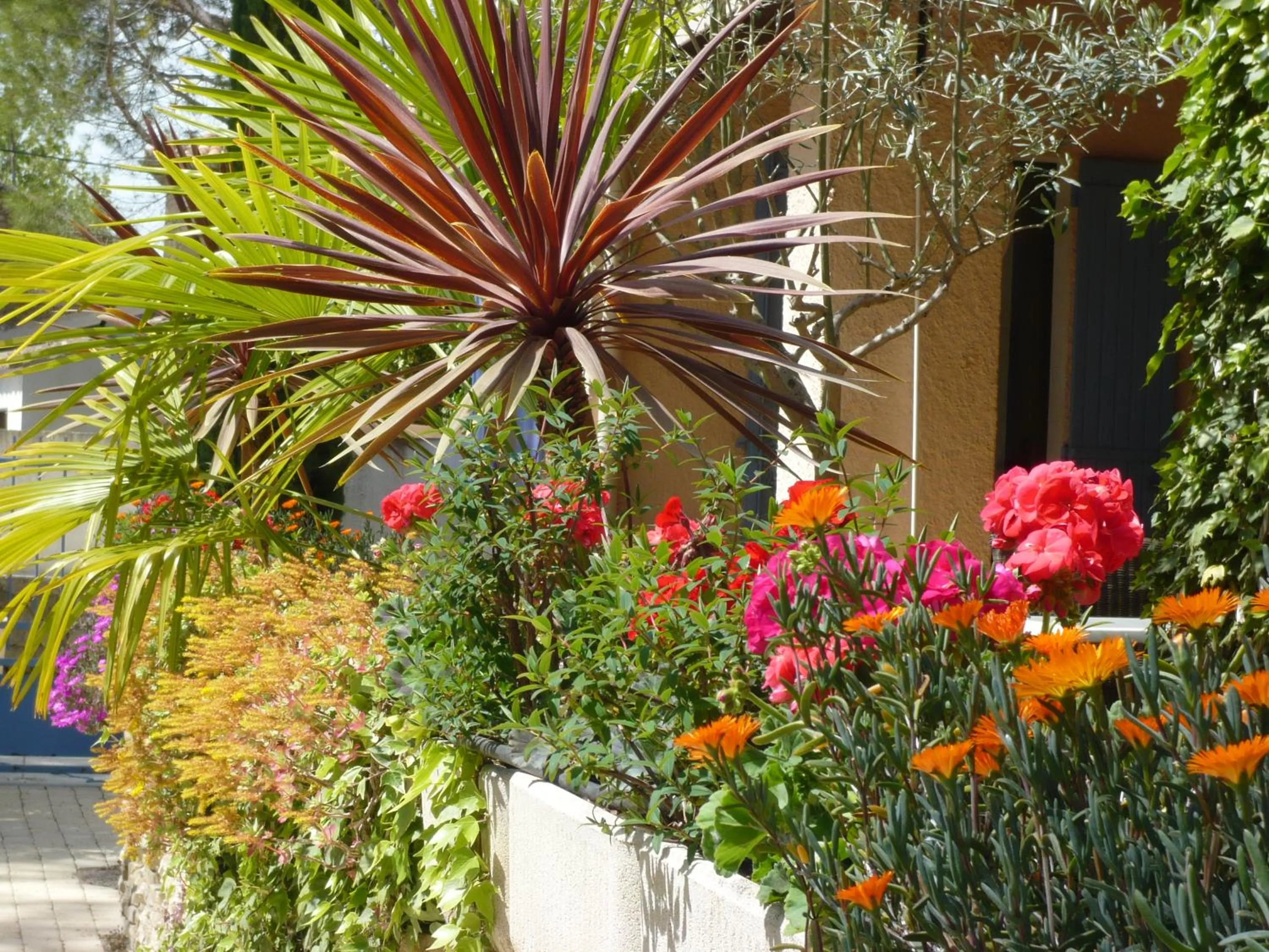 Balcony/Terrace in Hotel Mistral