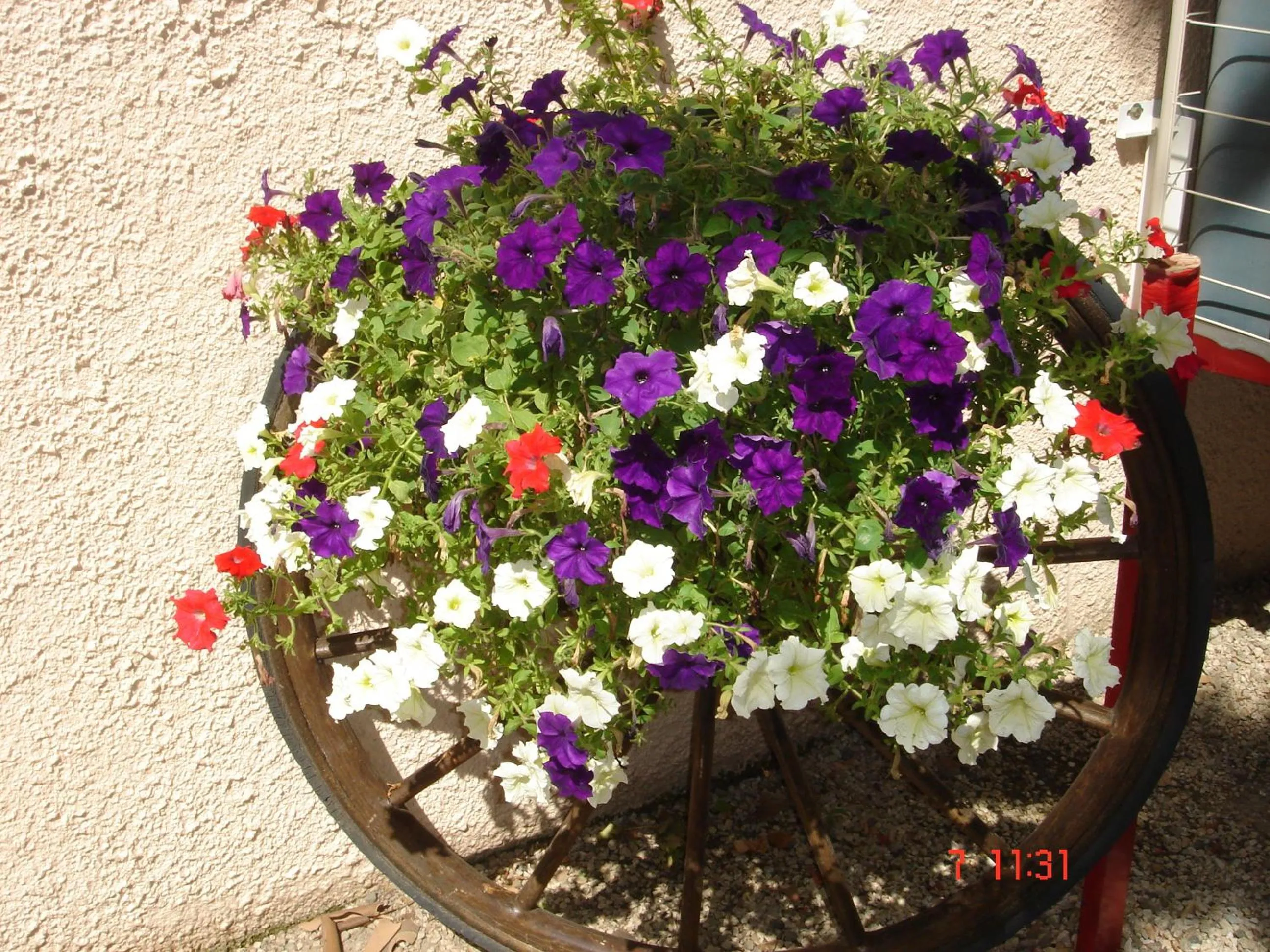 Garden in Hotel Mistral