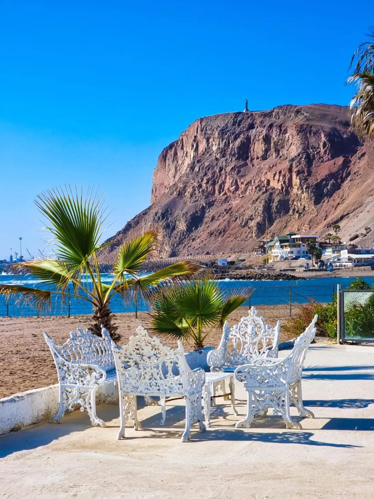 Garden in Panamericana Hotel Arica