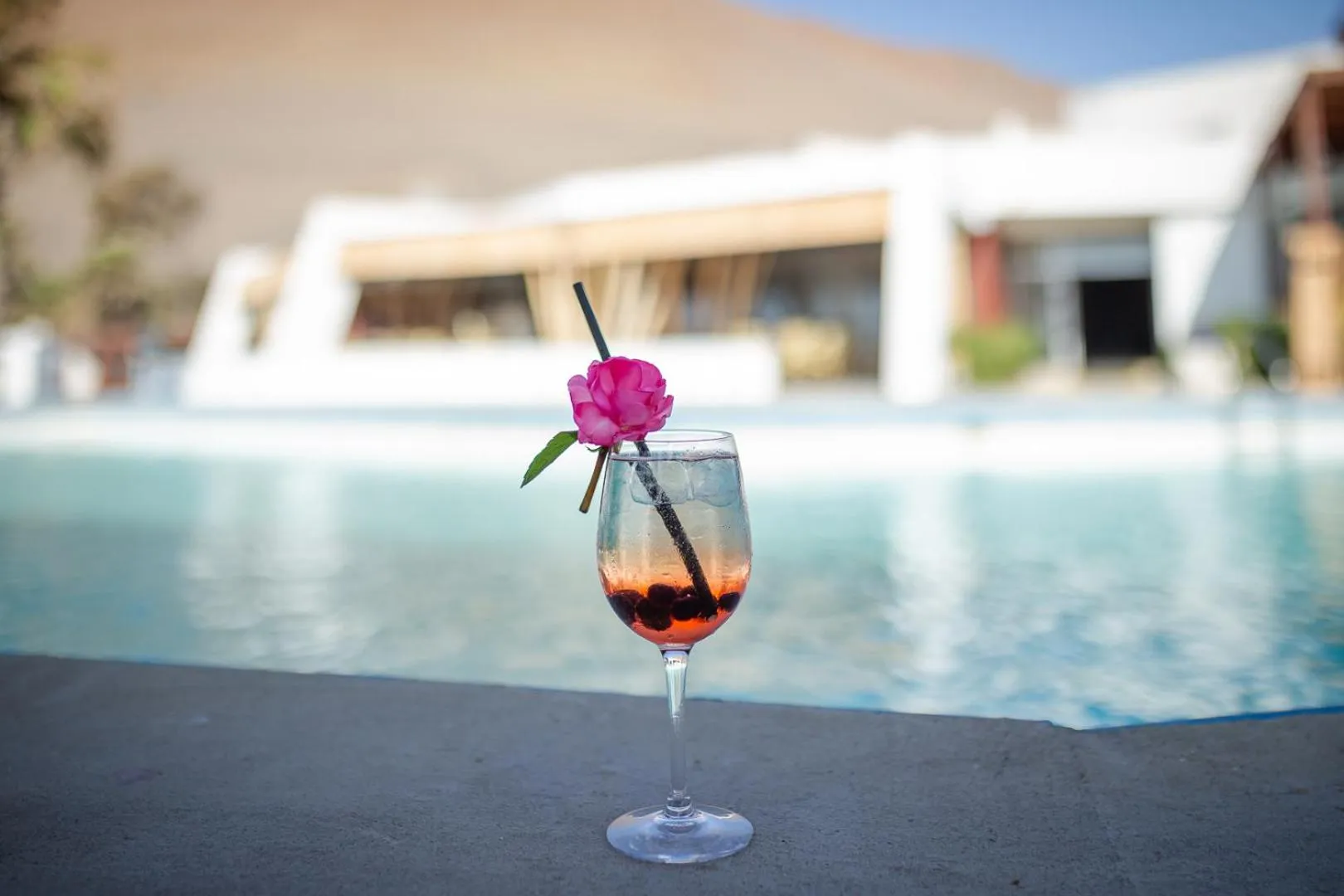 Other in Panamericana Hotel Arica