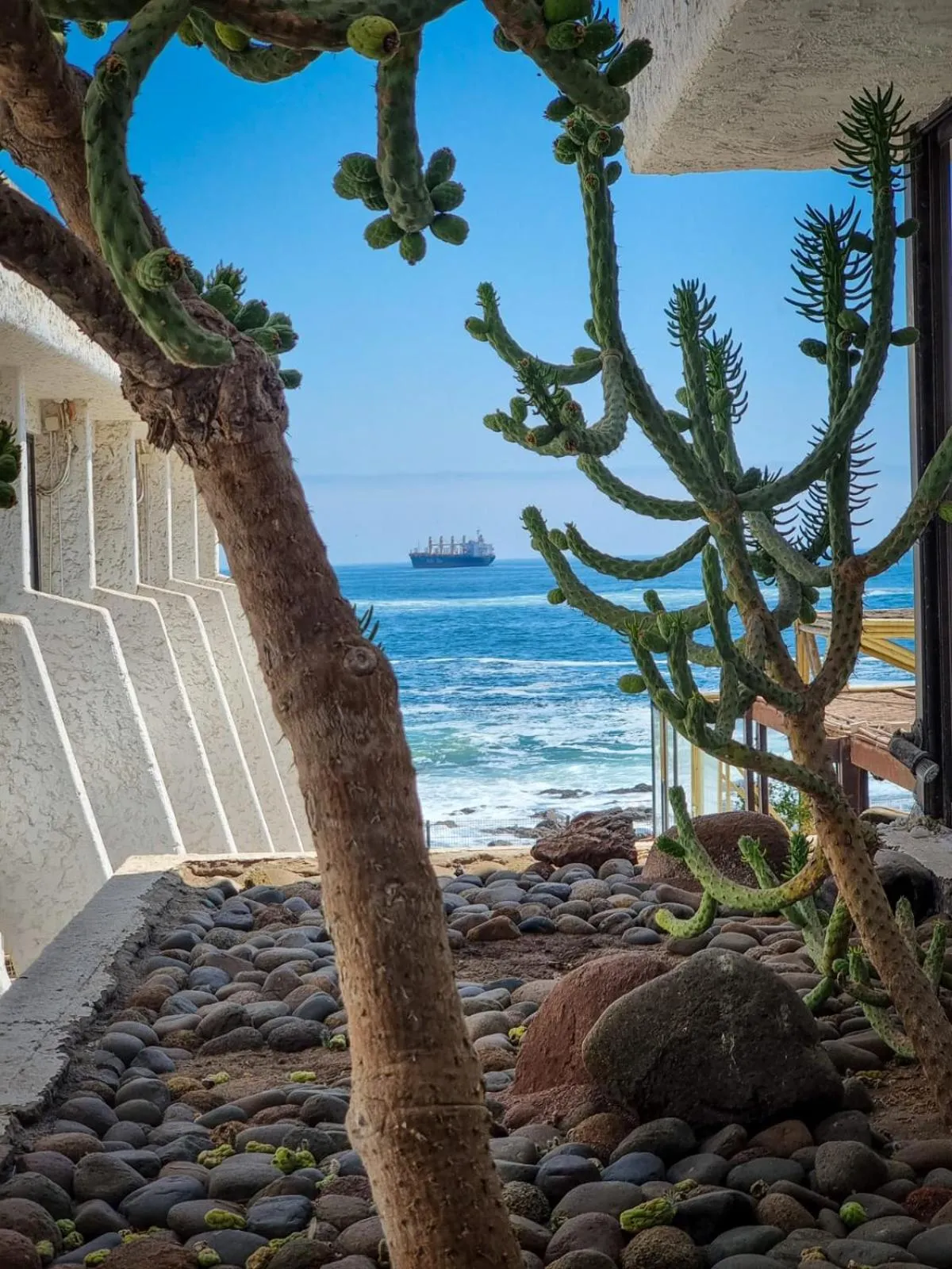 Natural landscape in Panamericana Hotel Arica