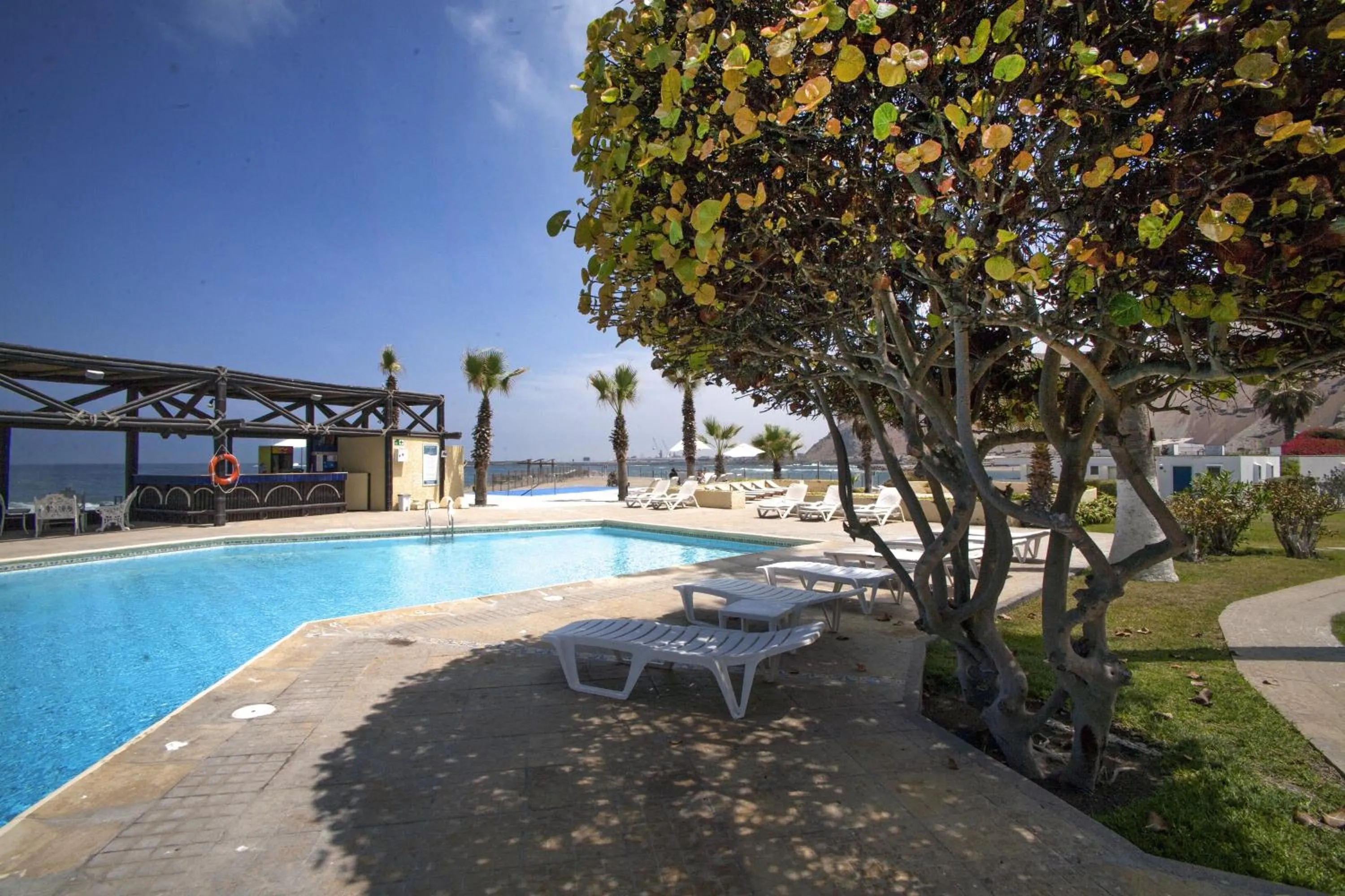 Garden in Panamericana Hotel Arica