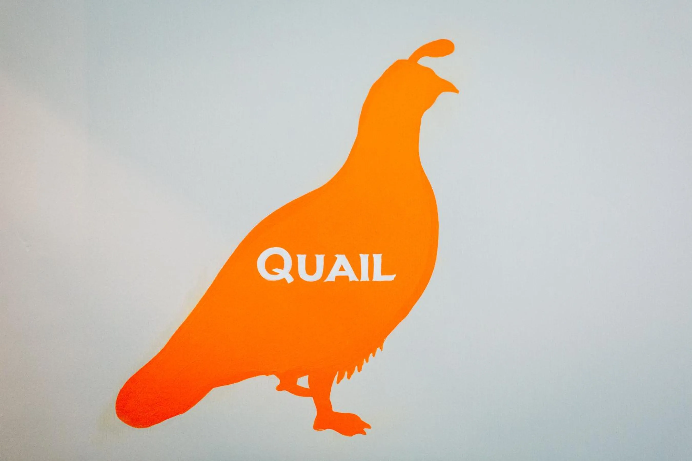 Decorative detail in Bampton Townhouse