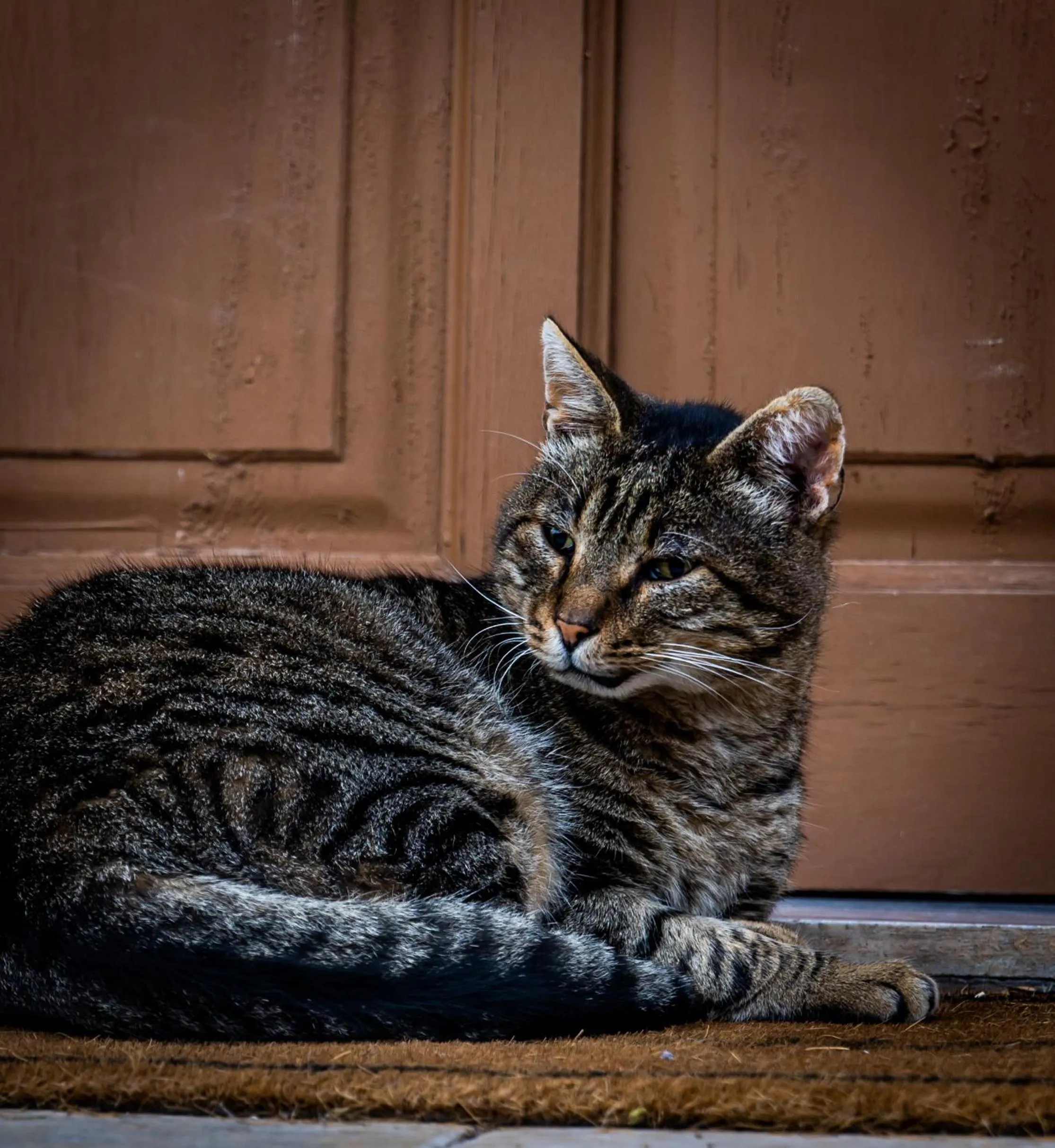 Property building in Enastron