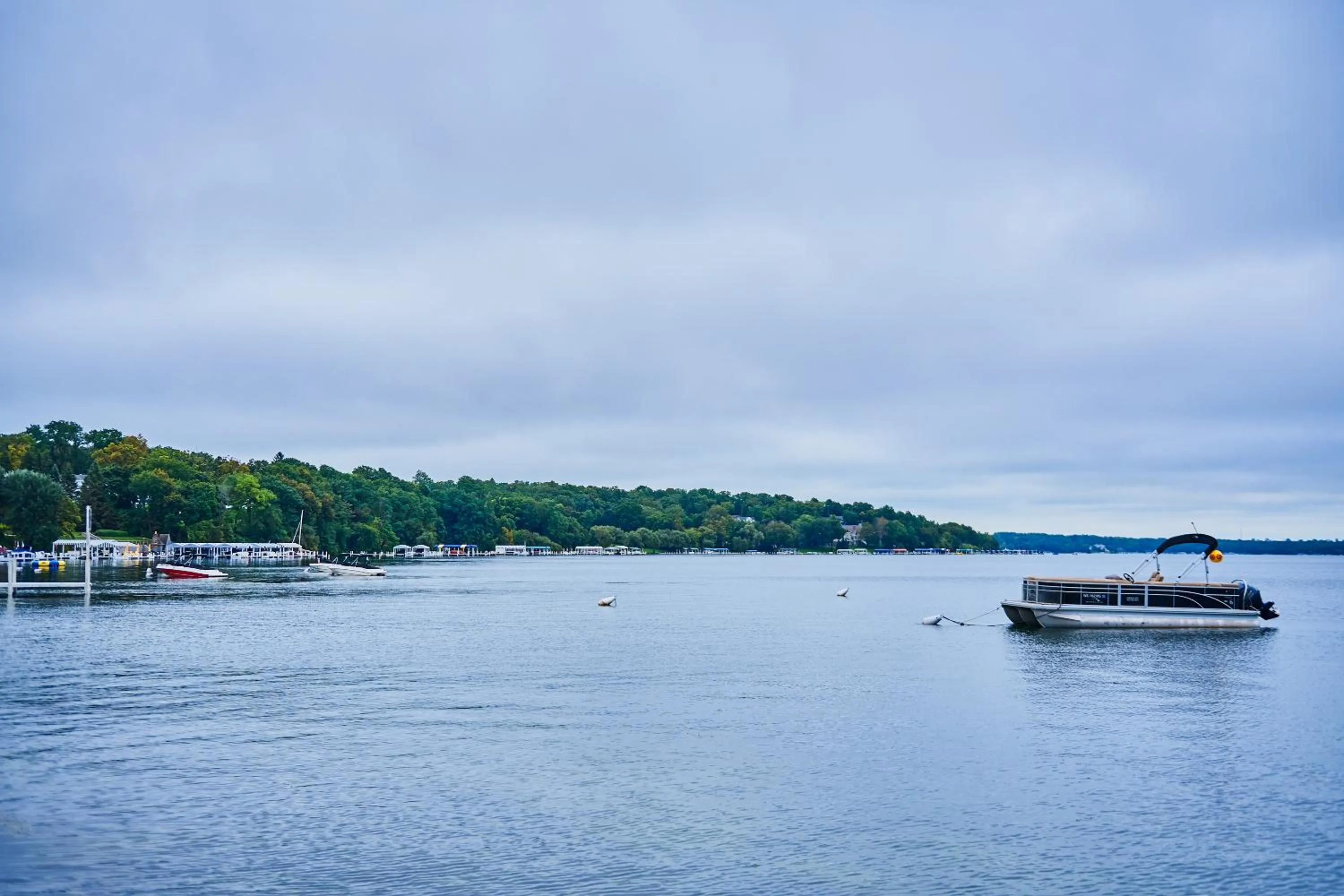 Natural landscape in The Cove of Lake Geneva
