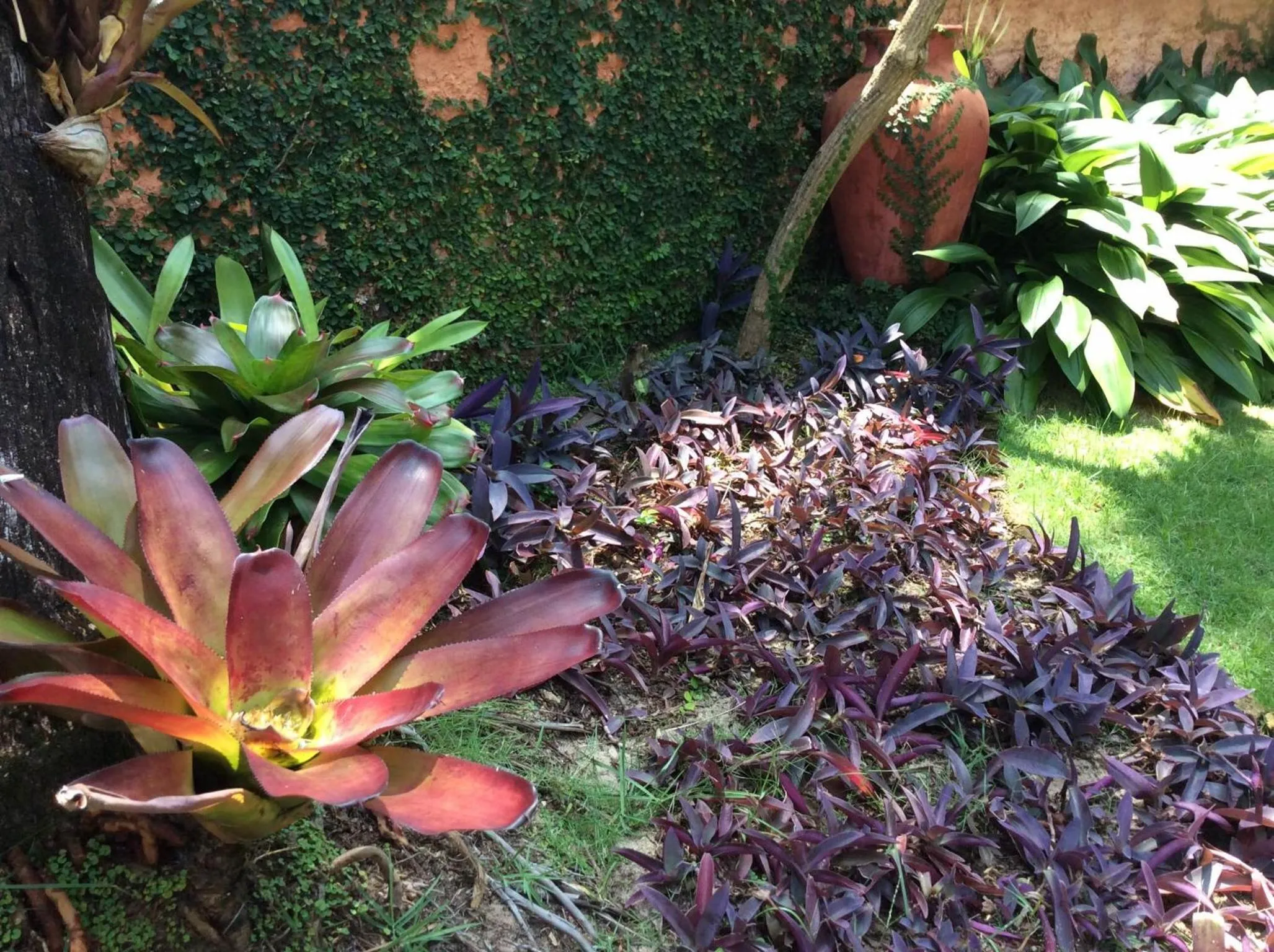 Autumn in Pousada Oasis