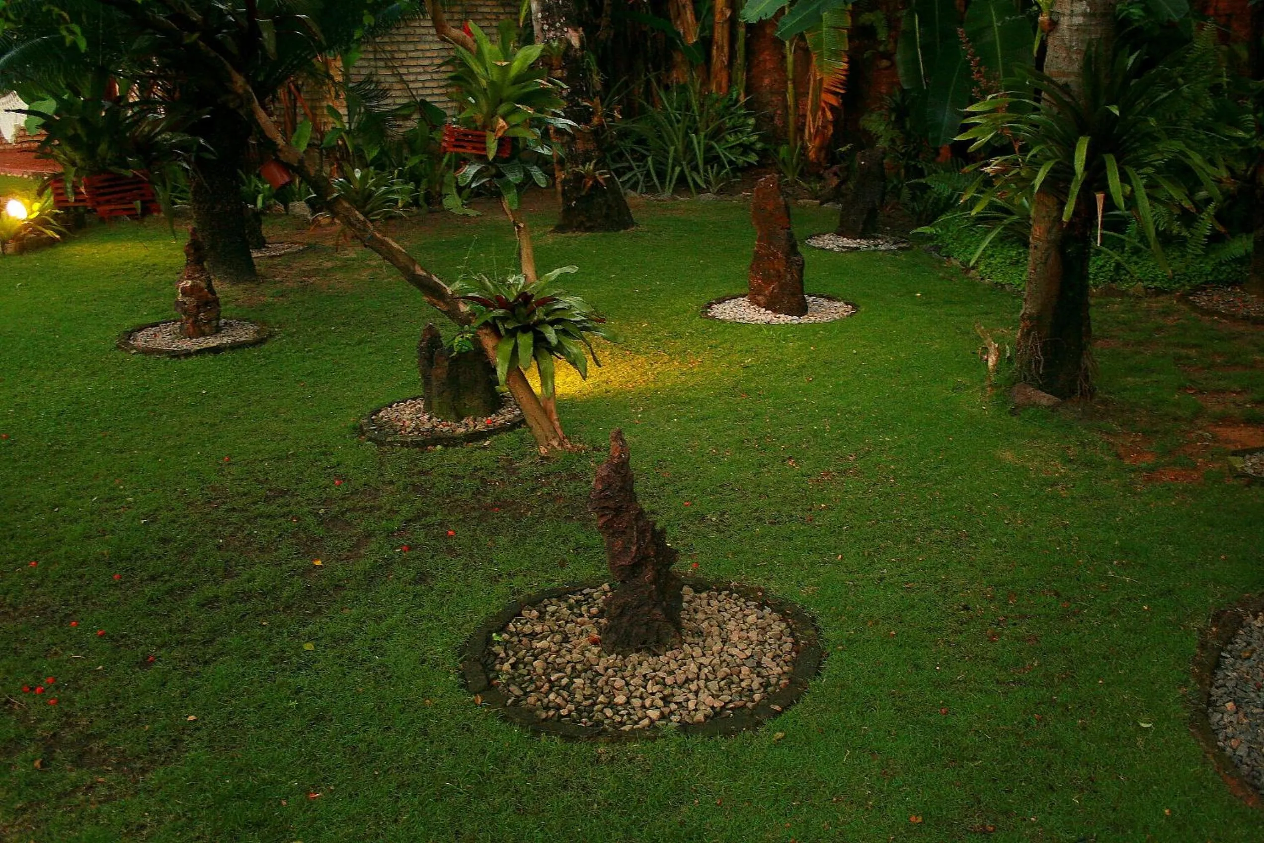 Garden in Pousada Oasis