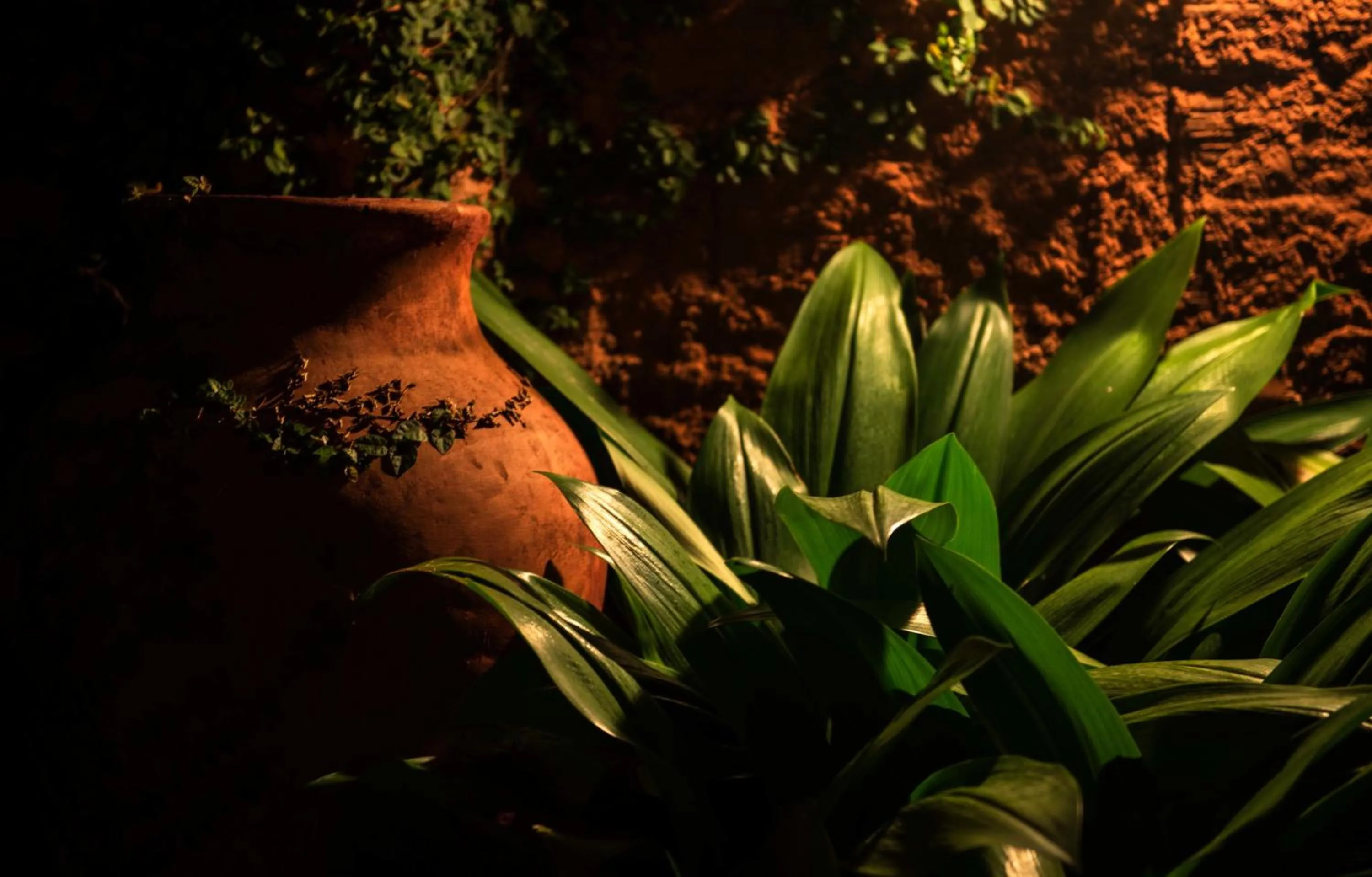 Night in Pousada Oasis