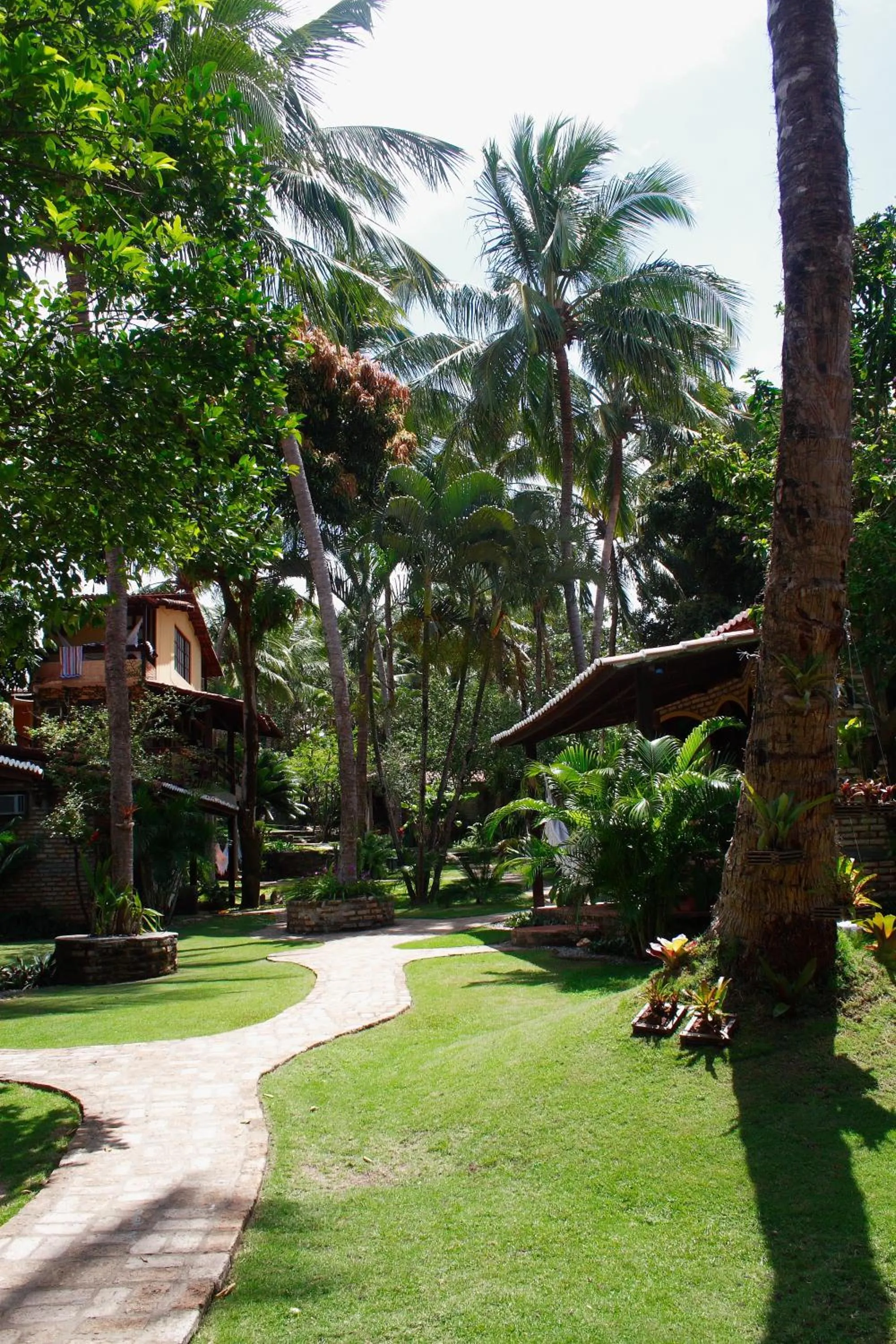 Garden view in Pousada Oasis