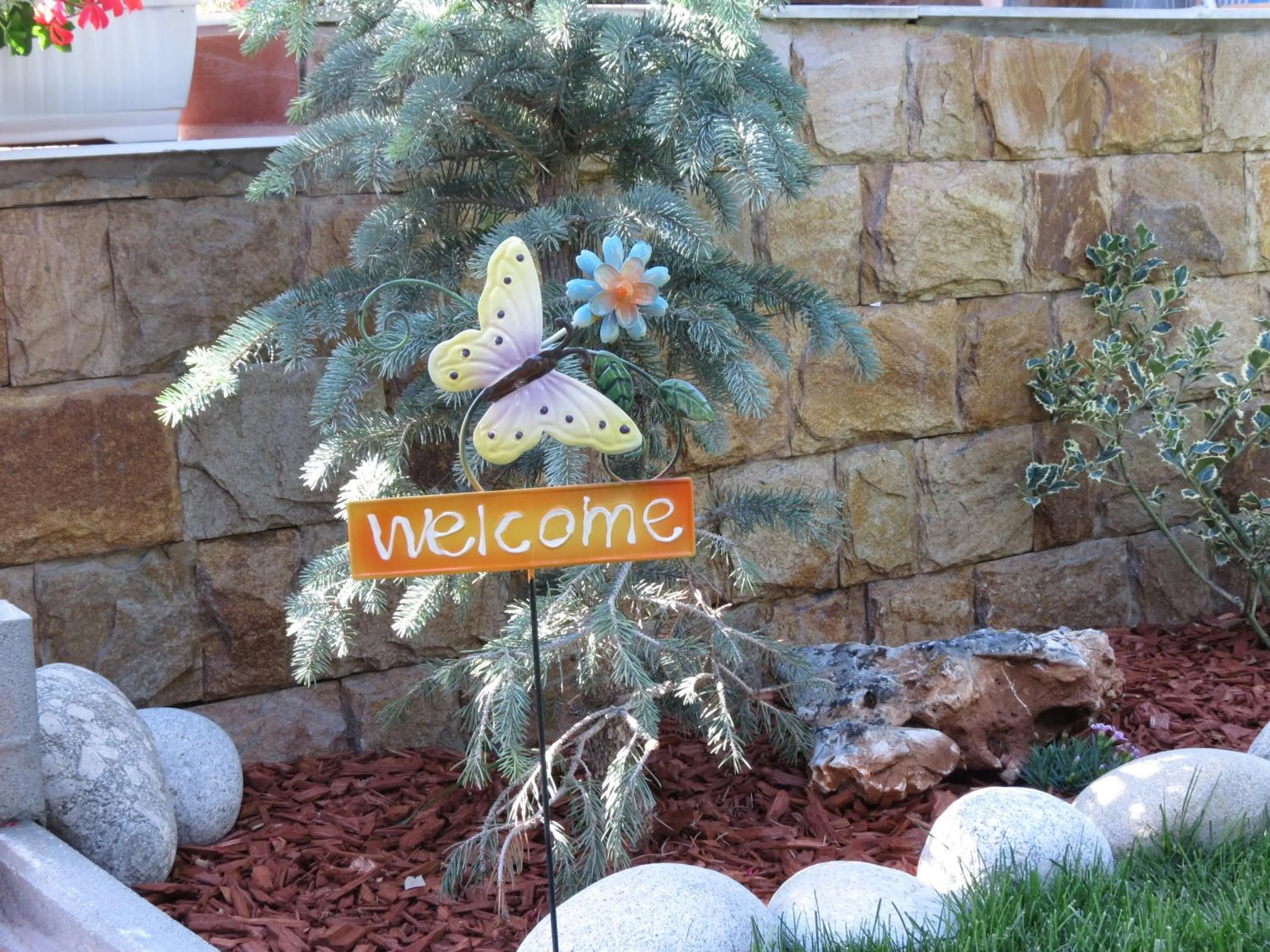 Aurora Guest House