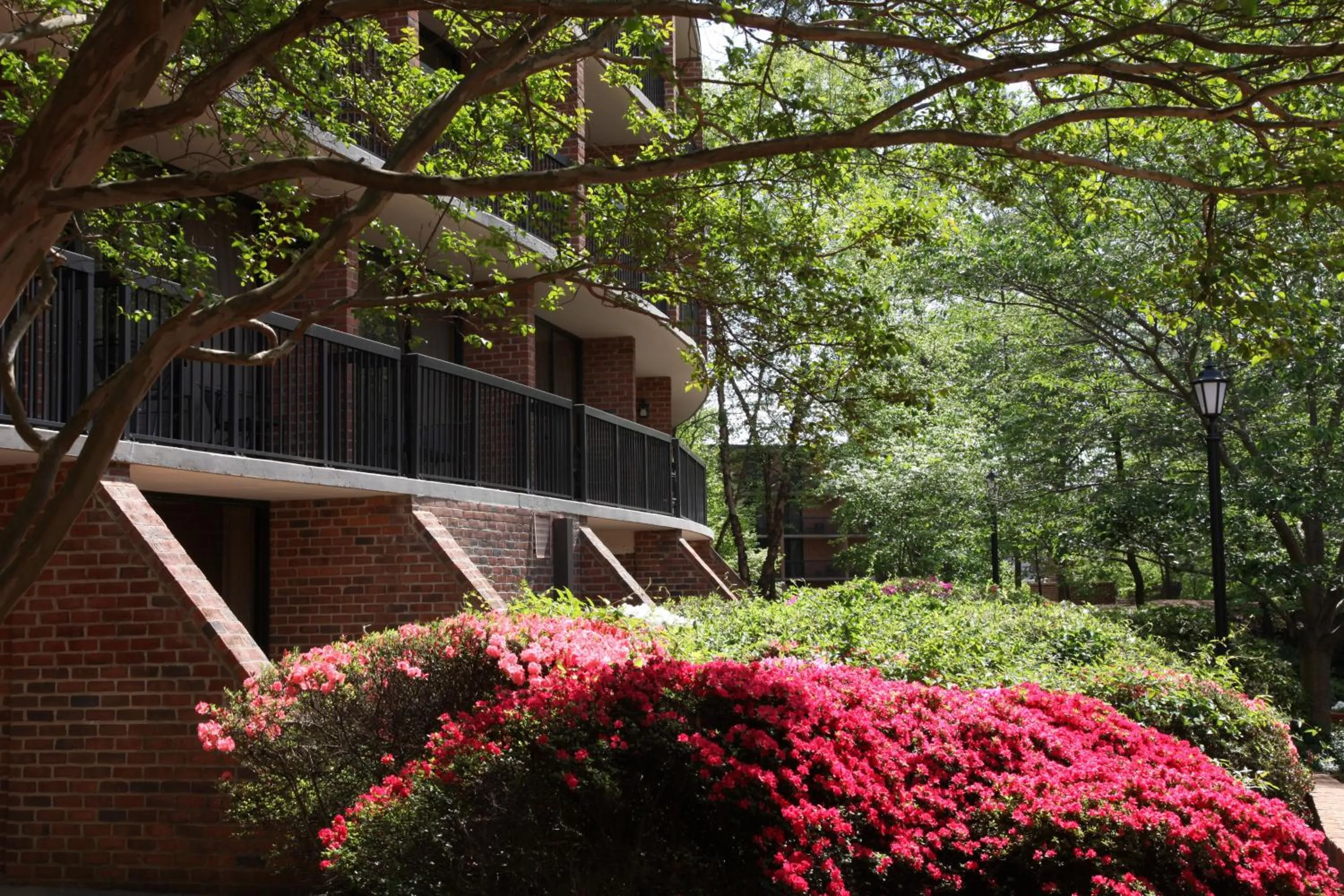 Garden in Fort Magruder Historic Williamsburg, Trademark by Wyndham