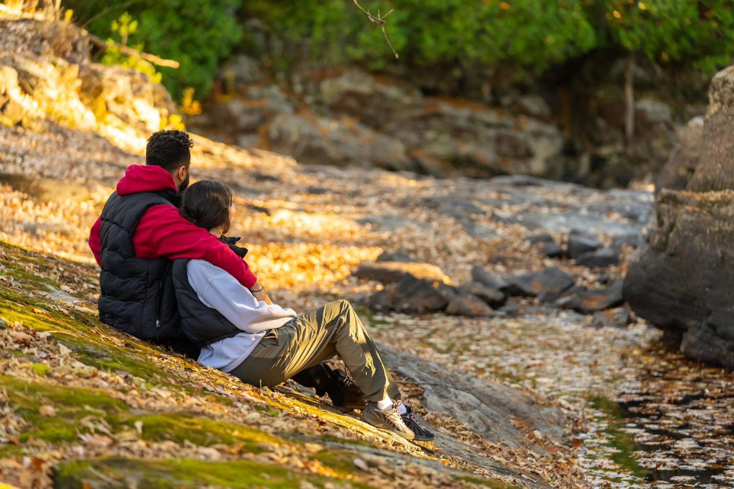 Natural landscape in Le Baluchon Éco-villégiature