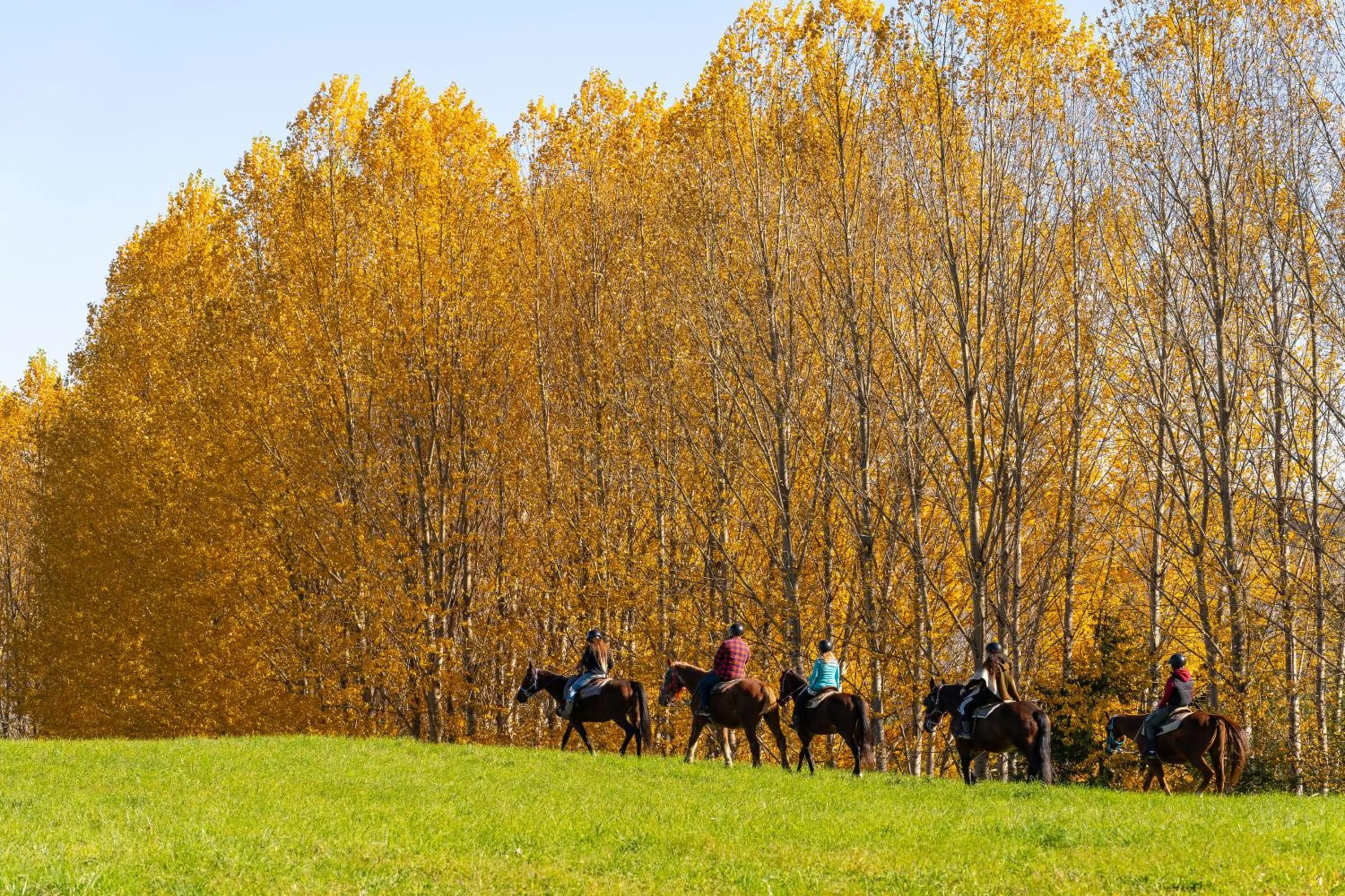 Activities in Le Baluchon Éco-villégiature