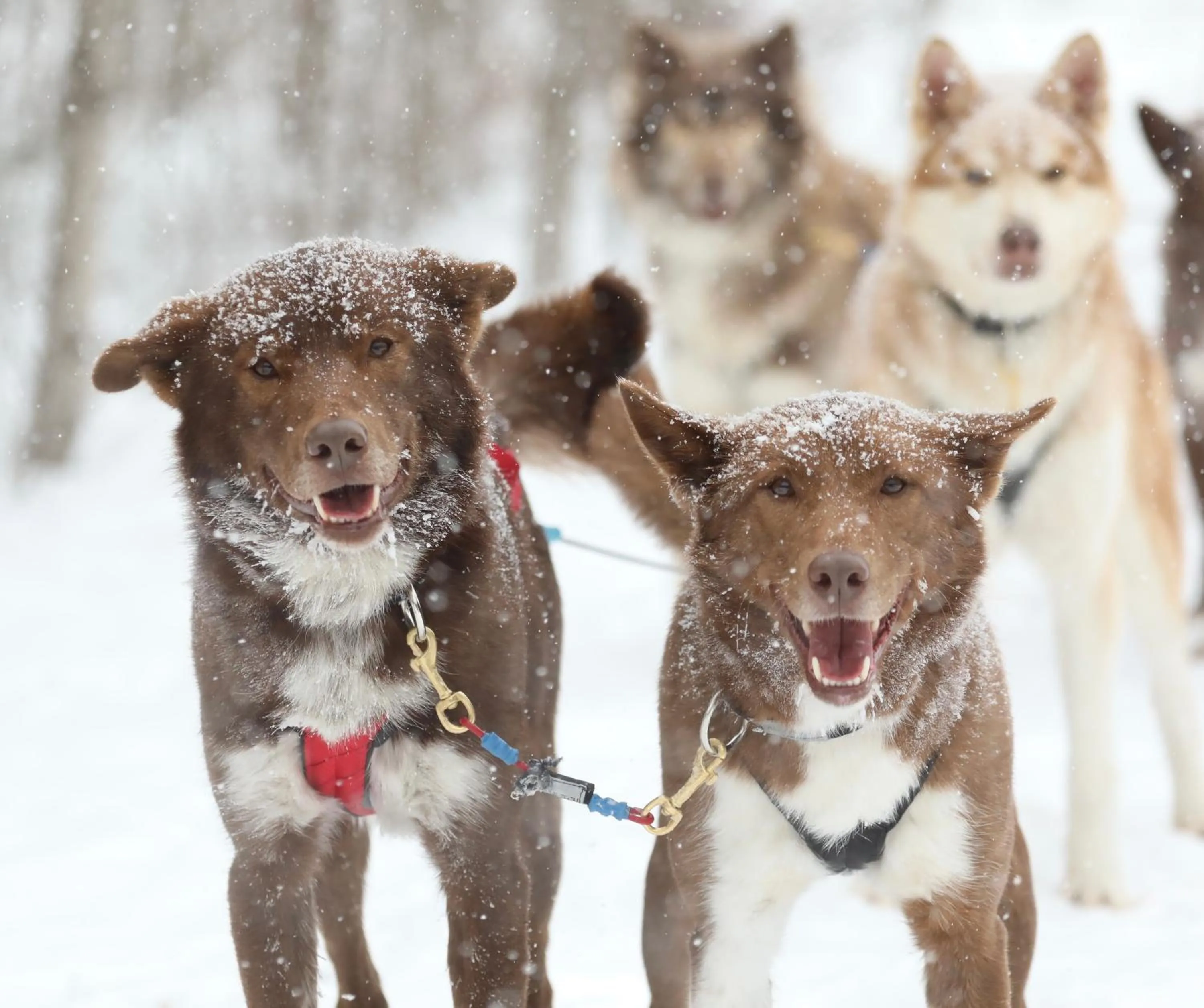 Activities in Le Baluchon Éco-villégiature