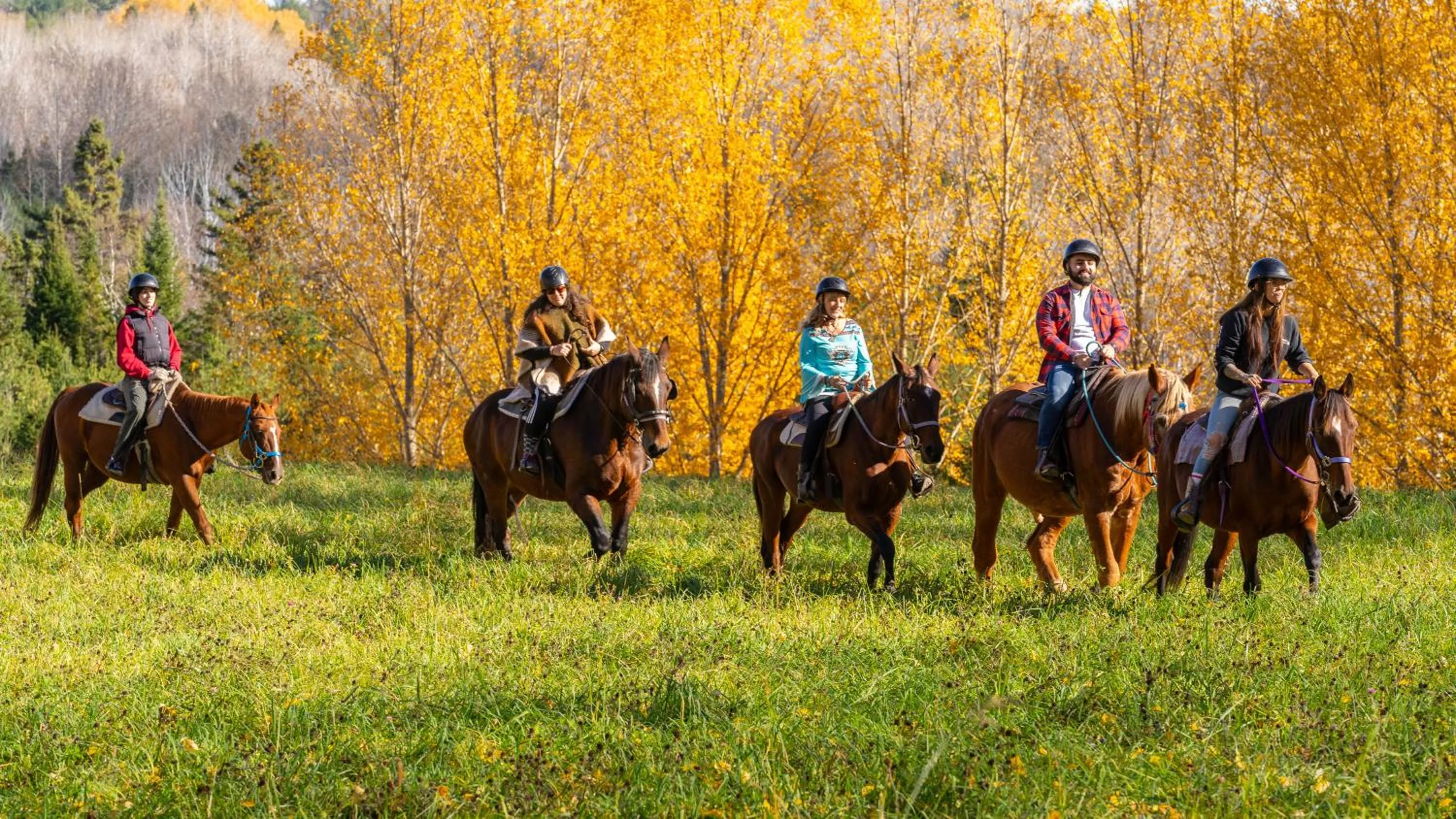 Natural landscape in Le Baluchon Éco-villégiature