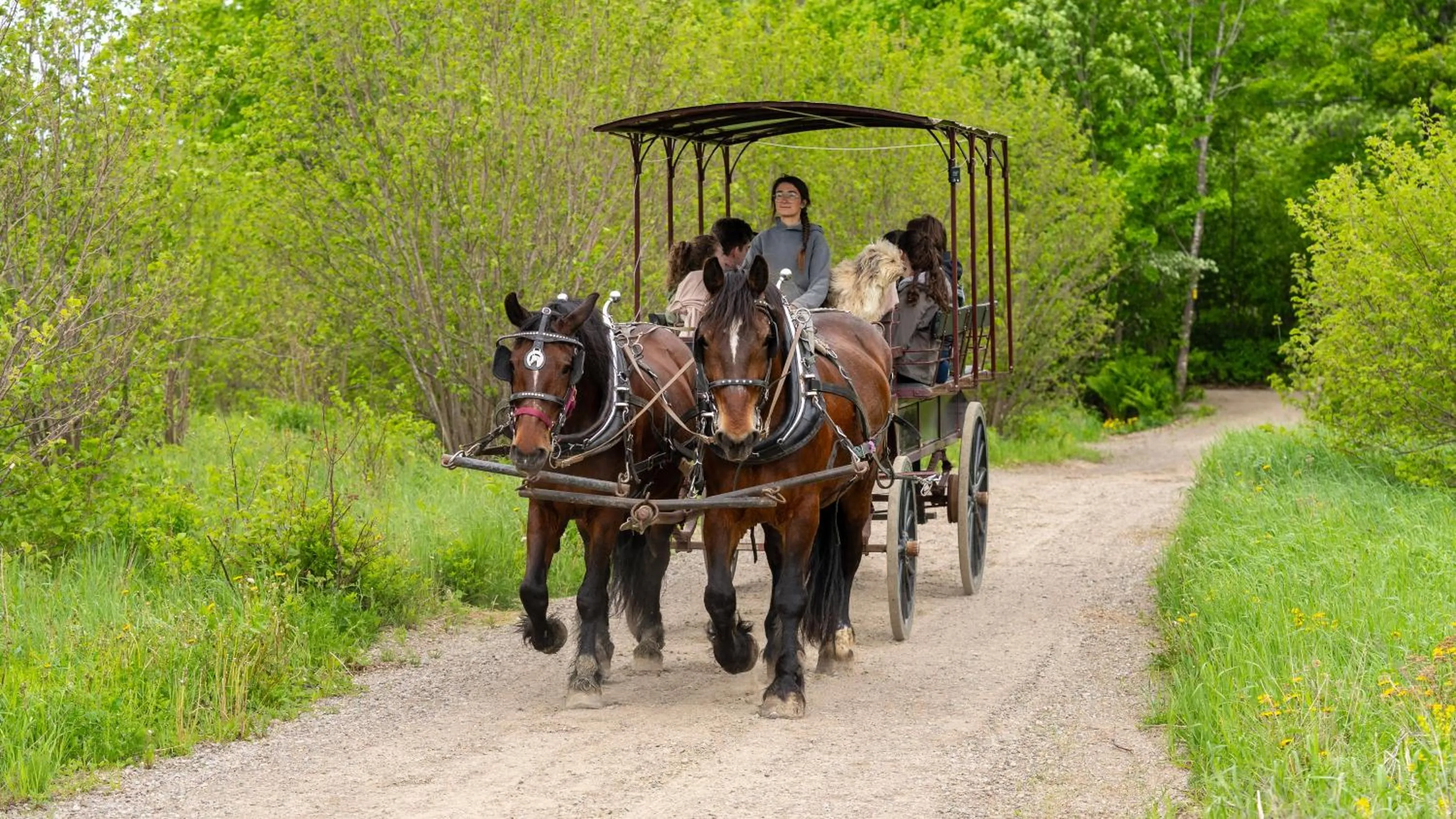 Natural landscape in Le Baluchon Éco-villégiature