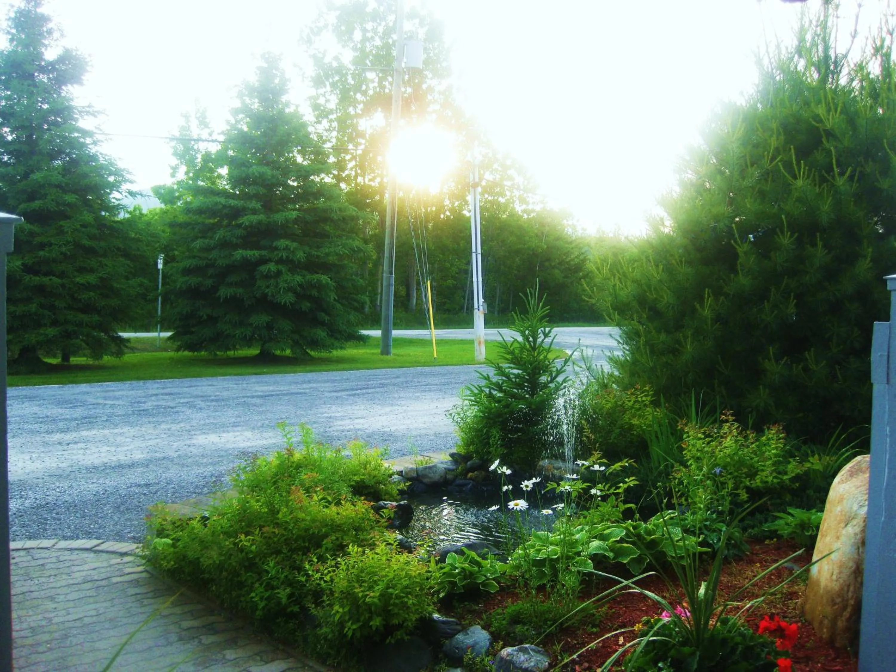 Garden in Motel de la Pente Douce
