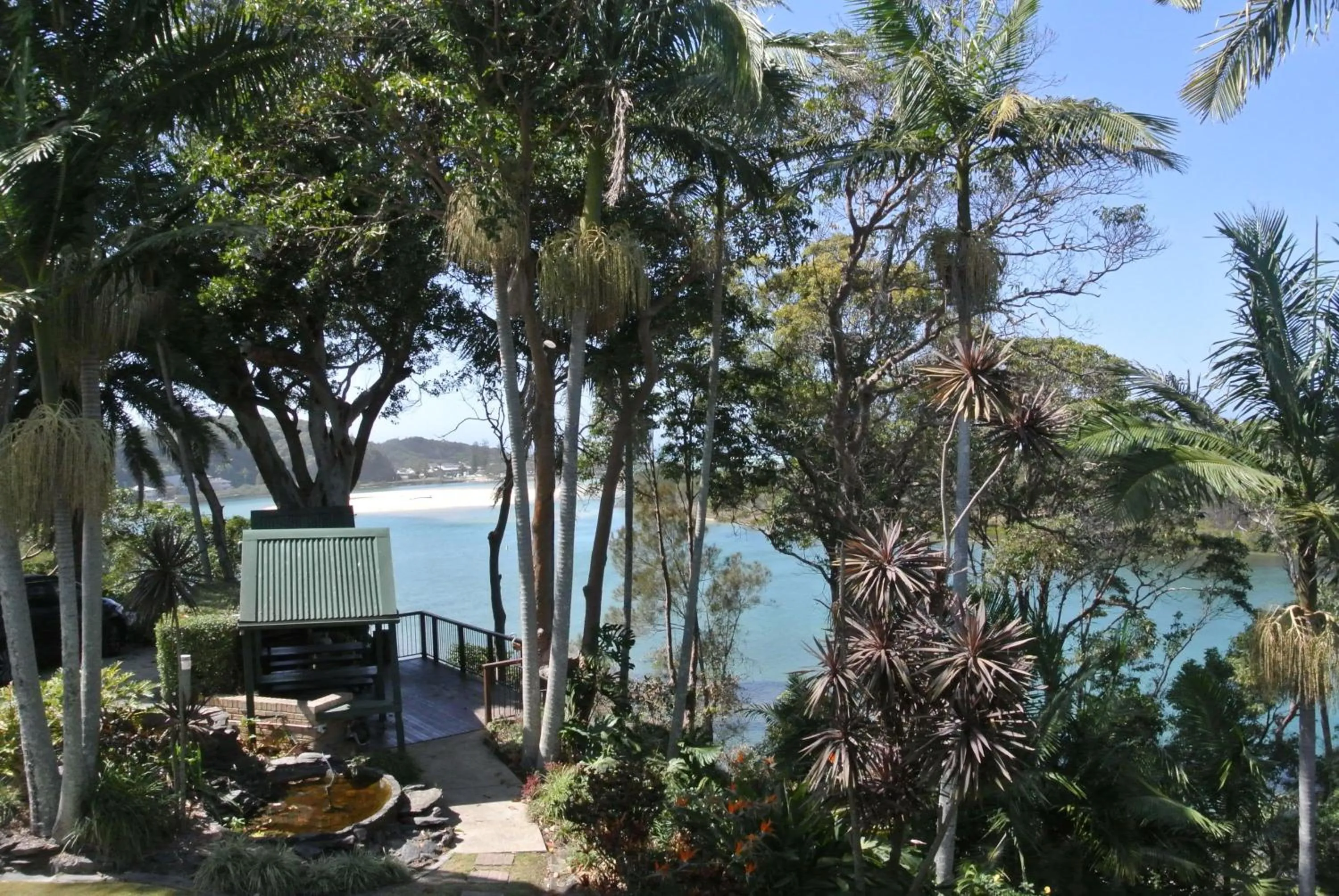 Garden in Motel Miramar