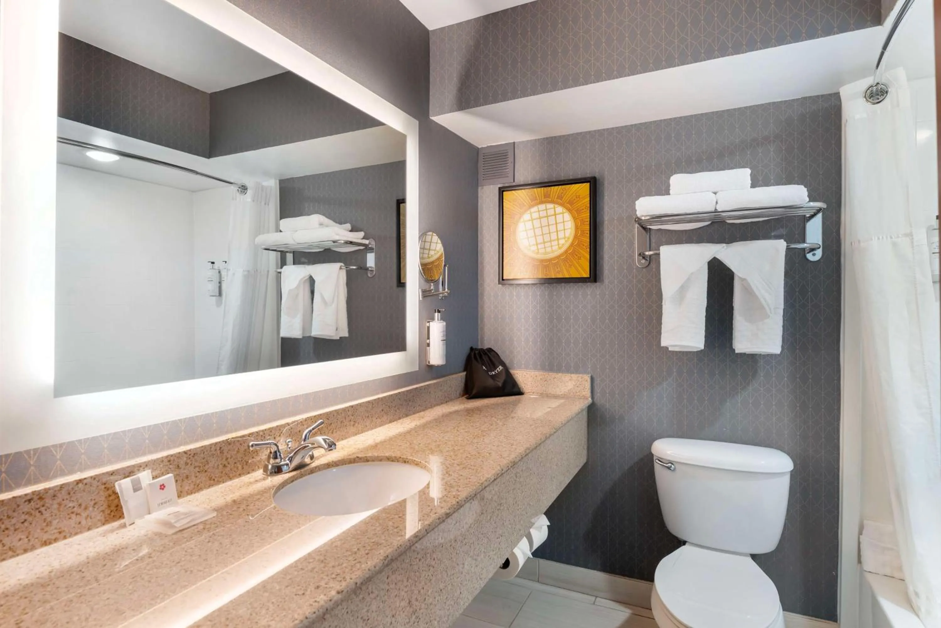 Bathroom in Best Western Premier Richmond City Gateway