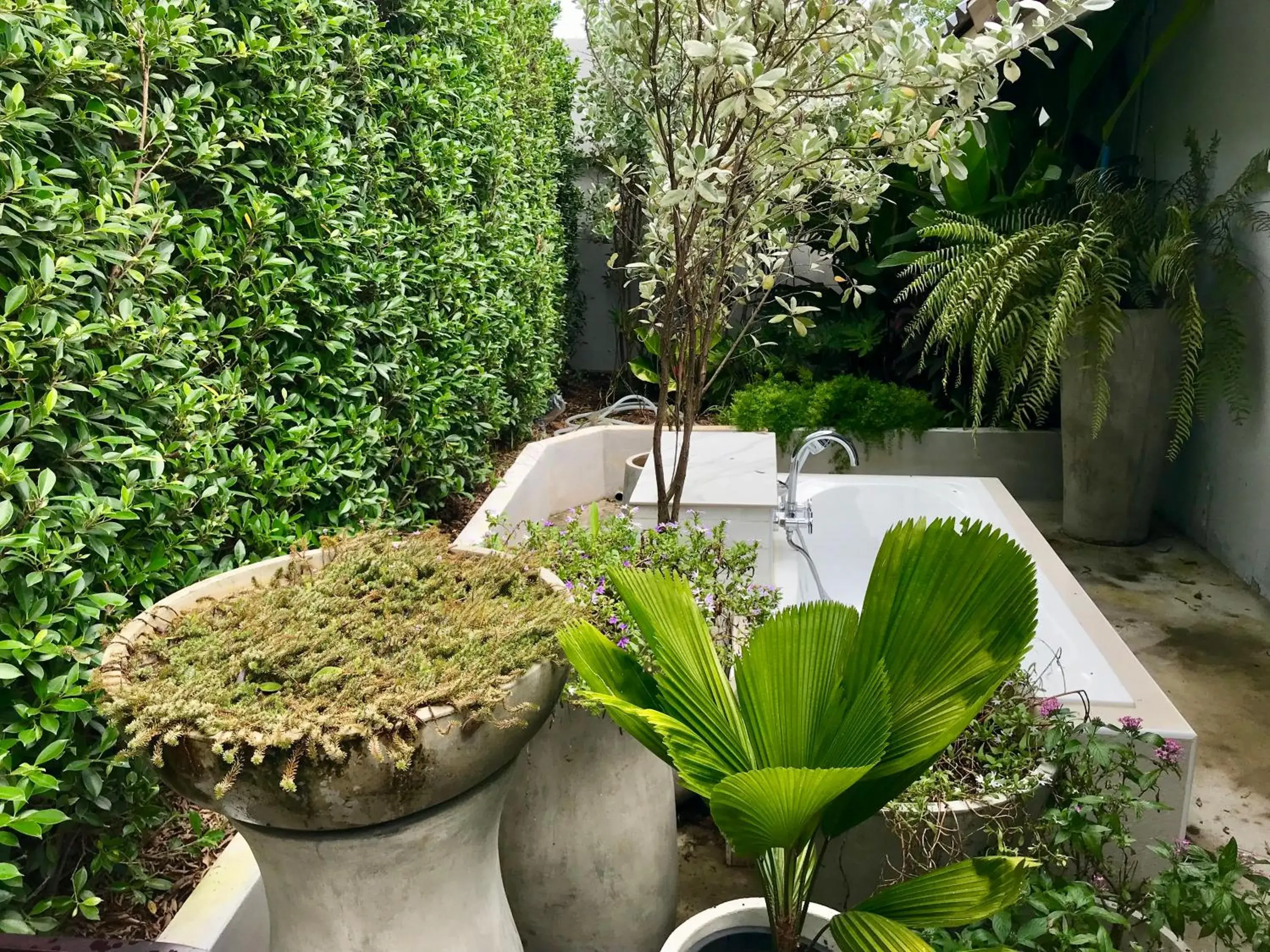 Purin Resort & Restaurant- SHA Plus Purin Resort & Restaurant- SHA Plus