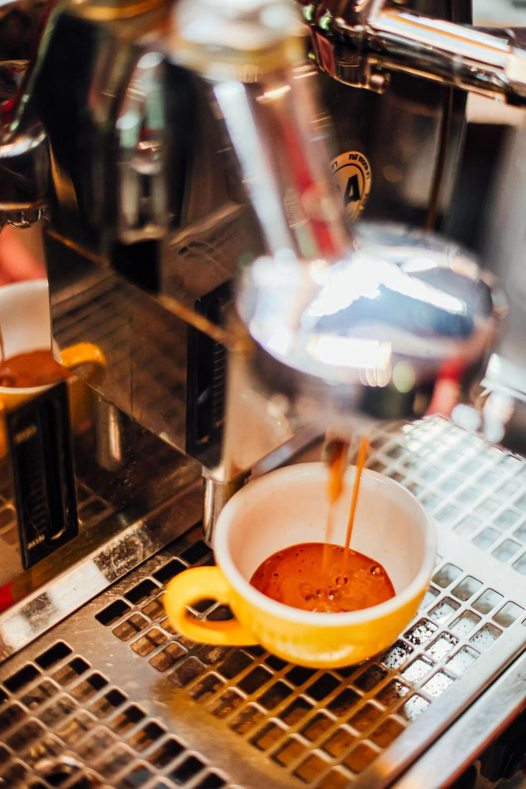 Lounge or bar in The Cambridge Hotel & Backpackers