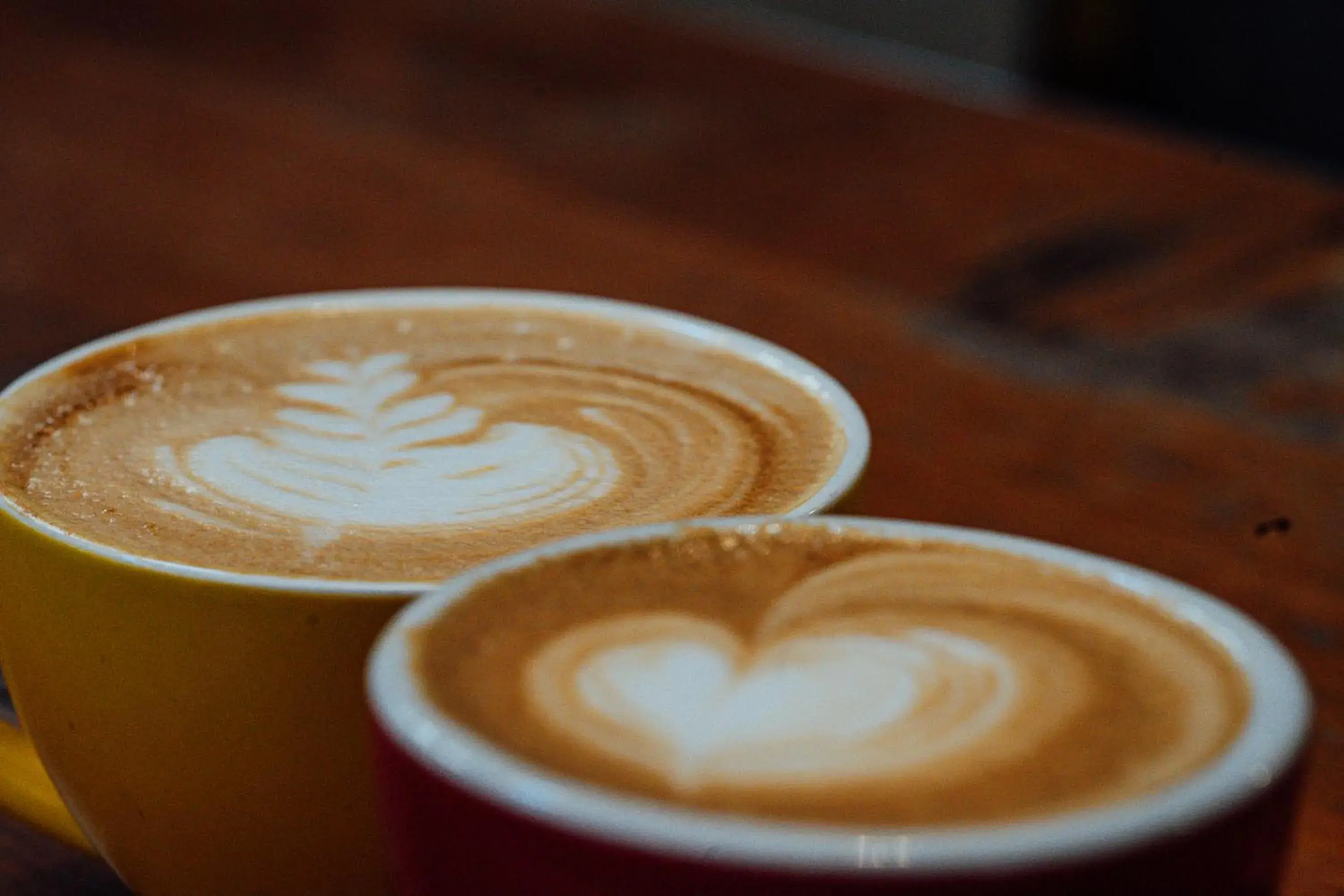 Lounge or bar in The Cambridge Hotel & Backpackers Lounge or bar in The Cambridge Hotel & Backpackers