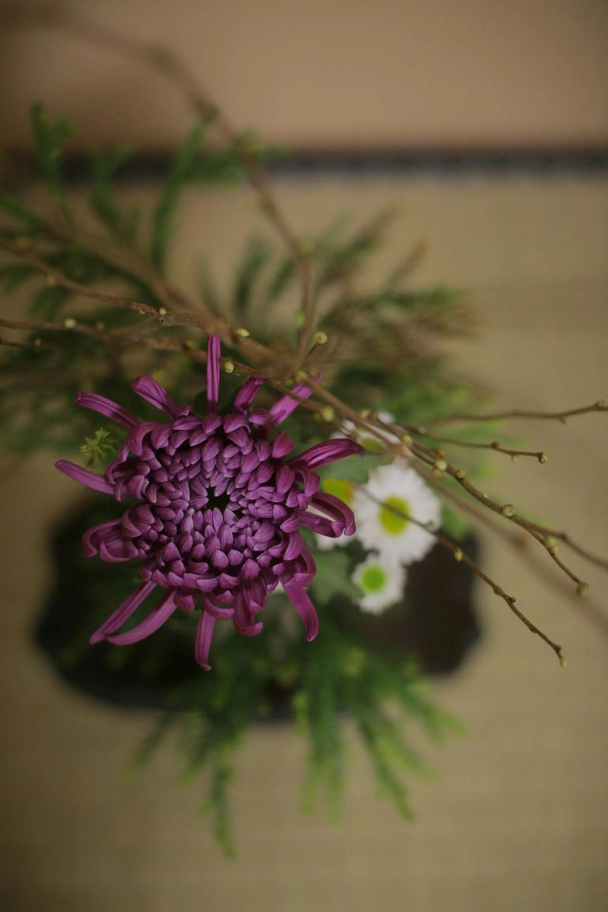 View (from property/room) in Yoshidaya Sannoukaku