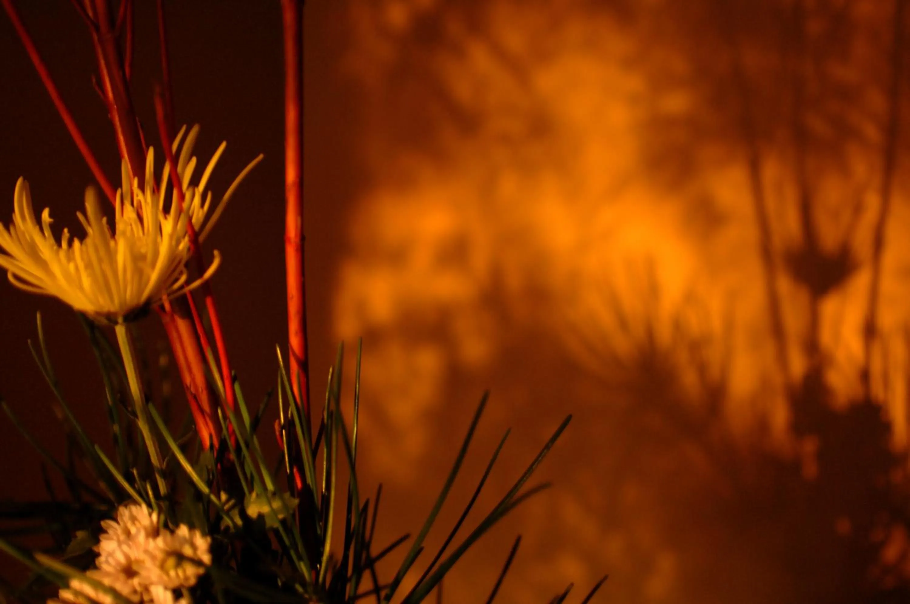 View (from property/room) in Yoshidaya Sannoukaku