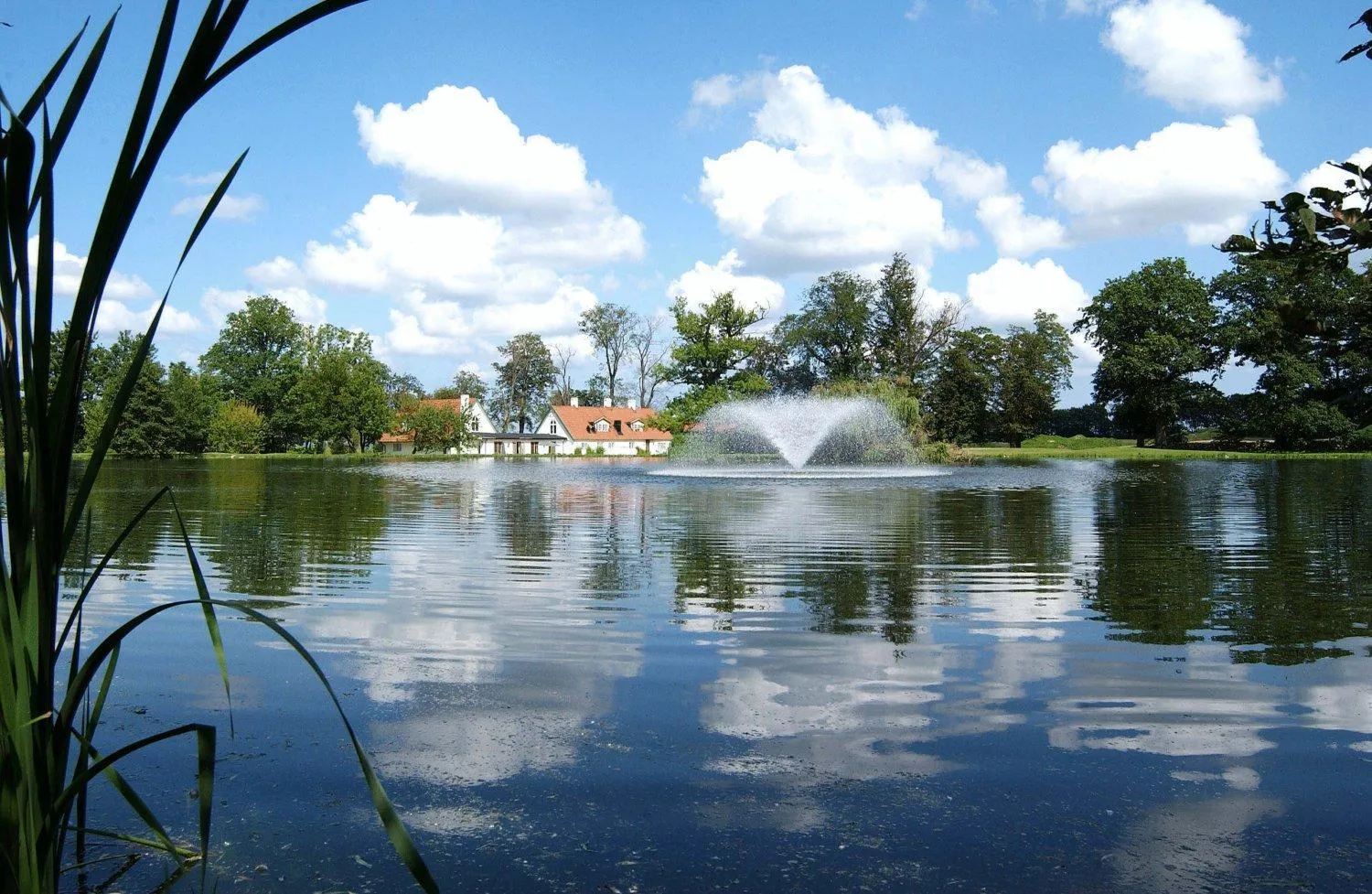 Natural landscape in Elisefarm