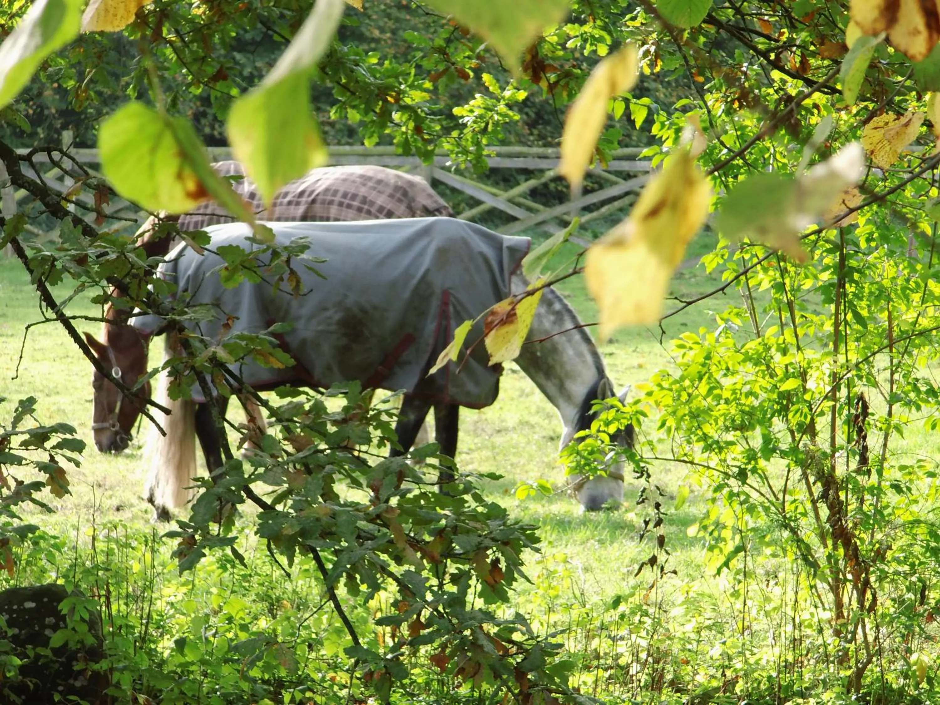 Day in Herrenhaus Borghorst