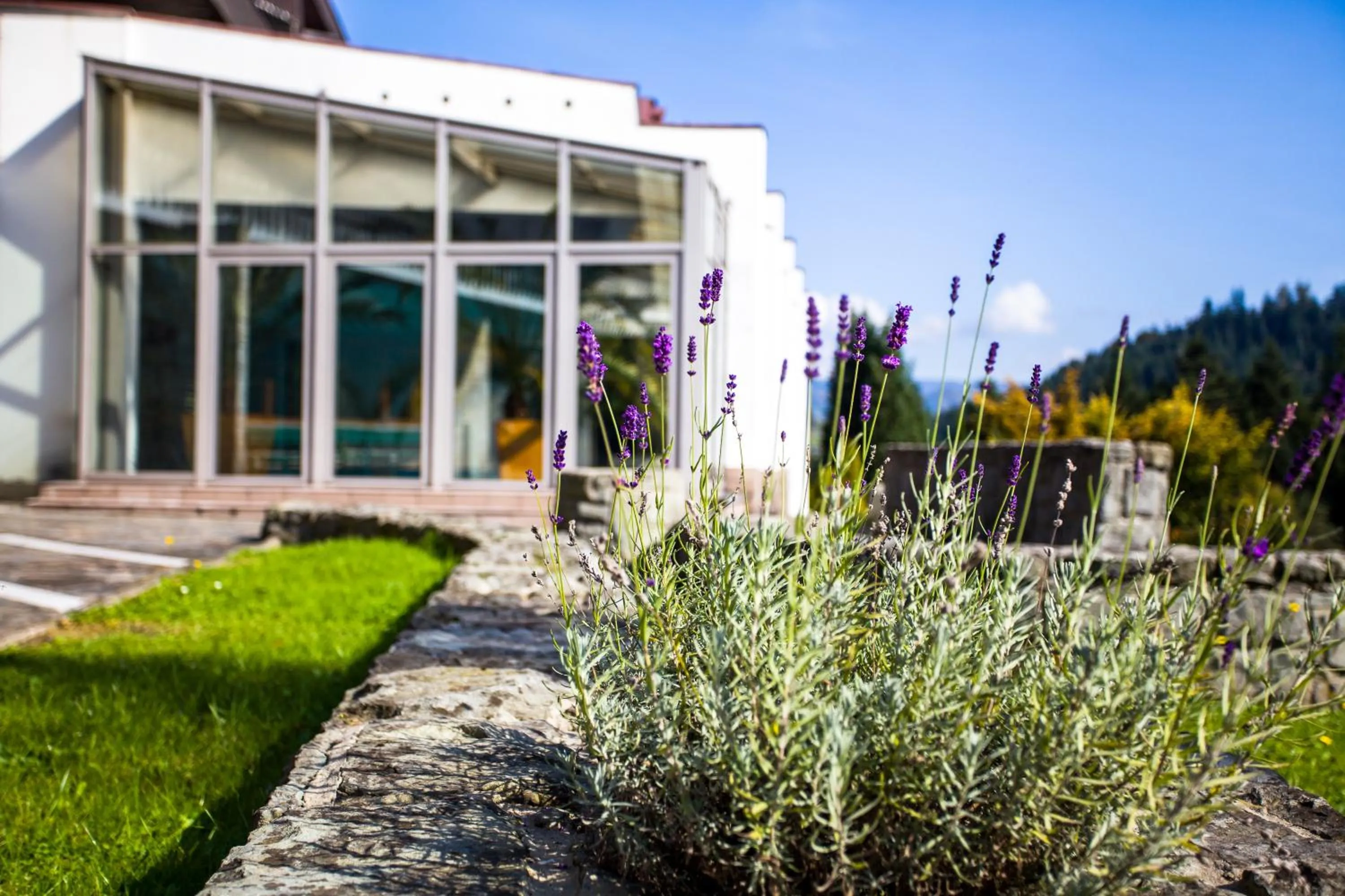 Property building in Hotel***NAT Piwniczna Zdrój