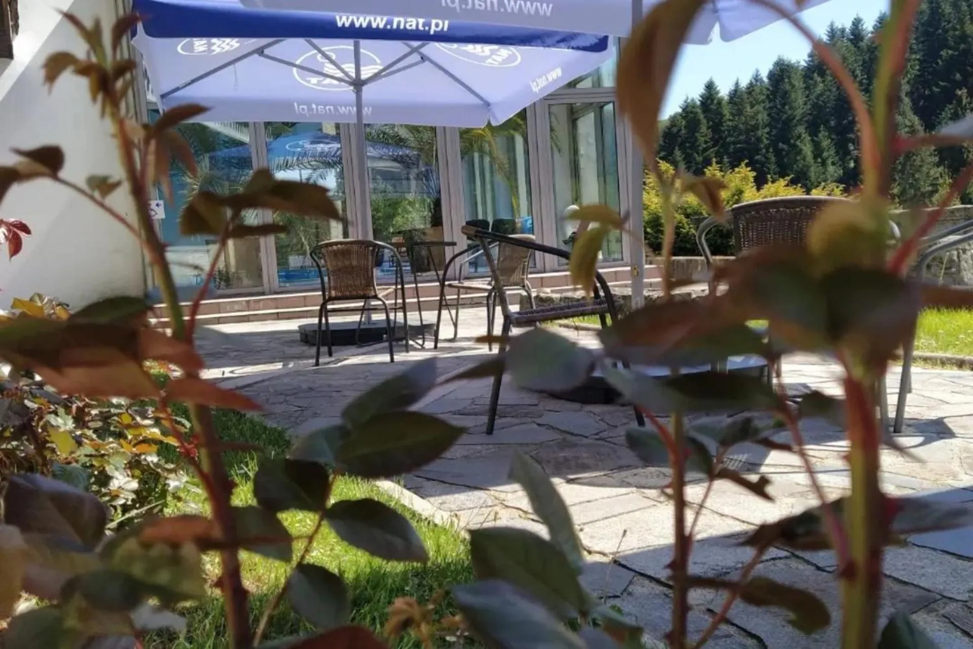 View (from property/room) in Hotel***NAT Piwniczna Zdrój