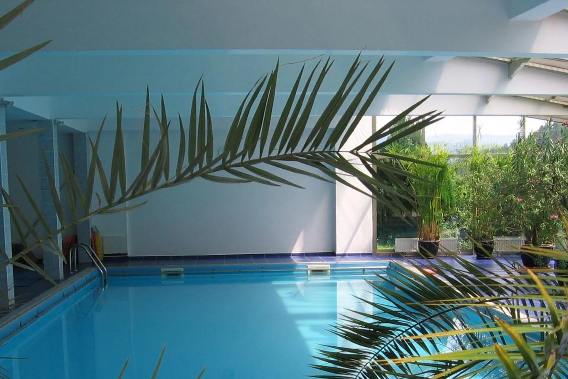 Swimming pool in Hotel***NAT Piwniczna Zdrój