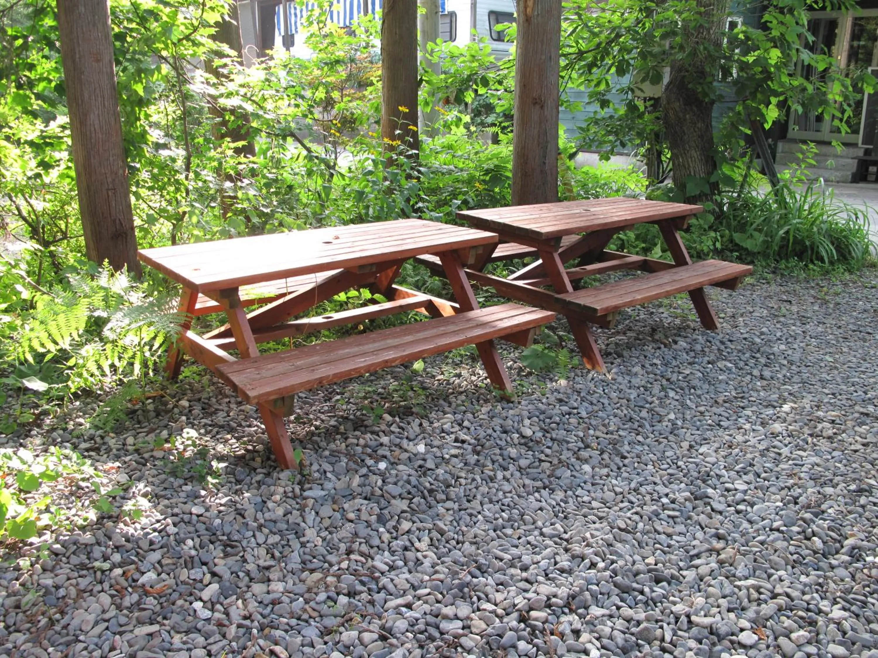 Penke Panke Lodge and Apartments