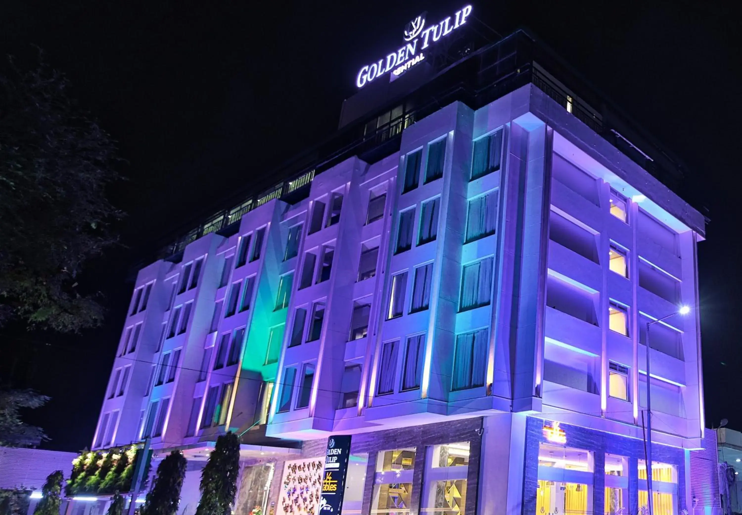 Golden Tulip Essential Jaipur Golden Tulip Essential Jaipur