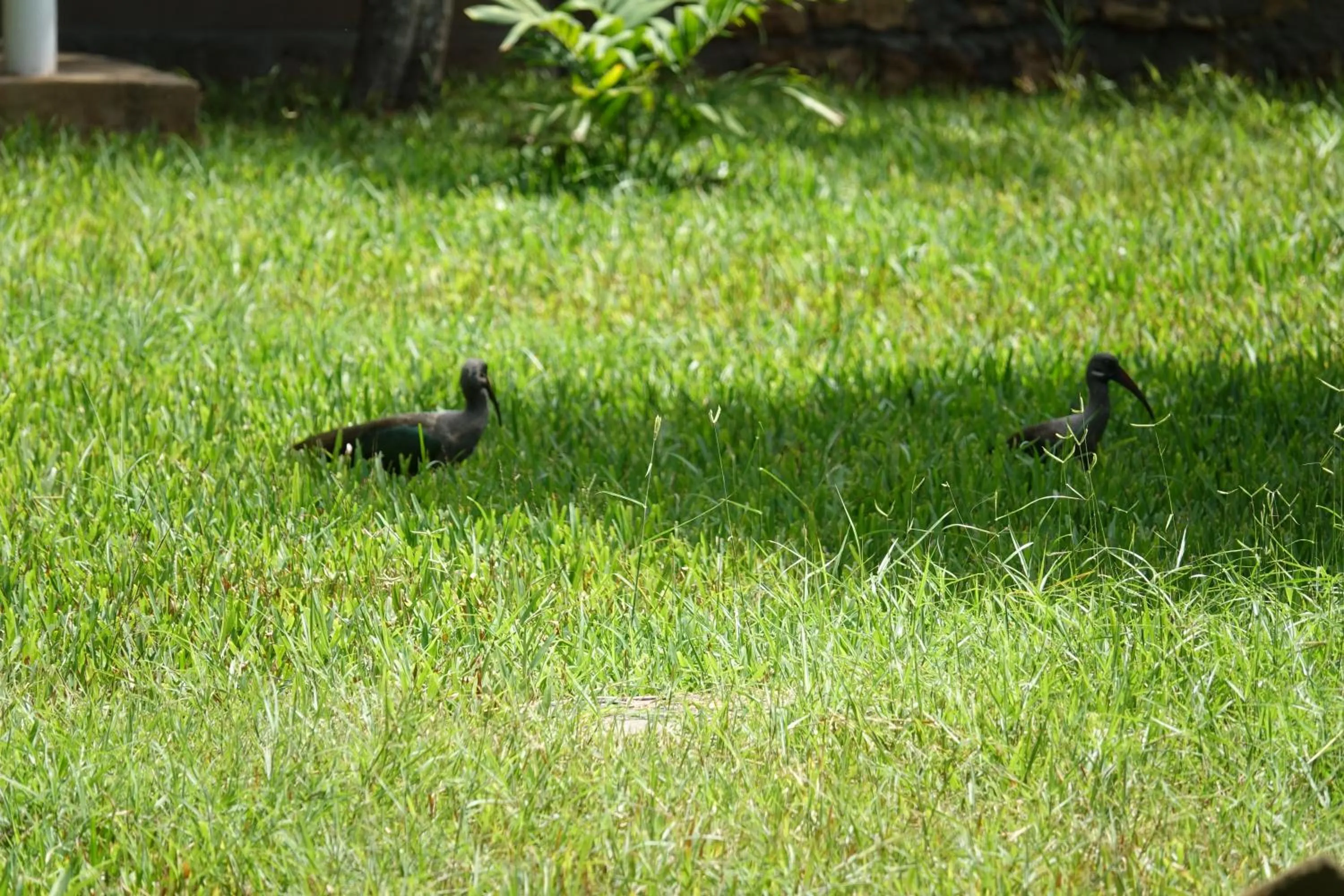 Garden in Residence Maison Müge