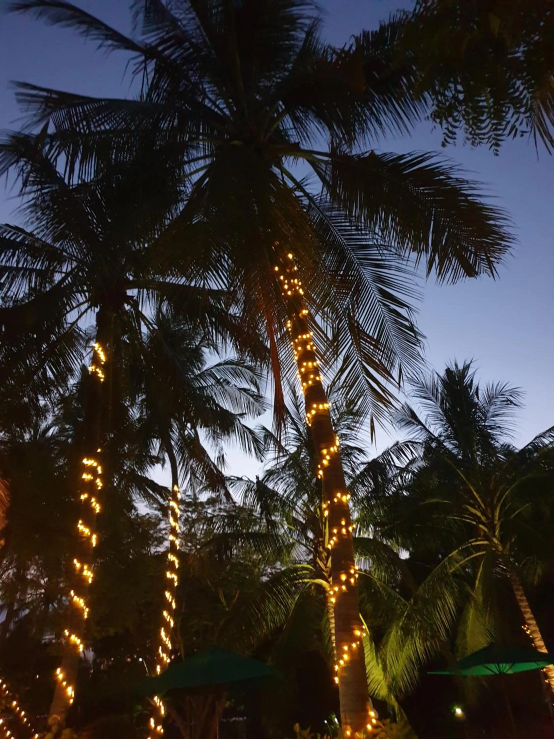 Garden in Residence Maison Müge