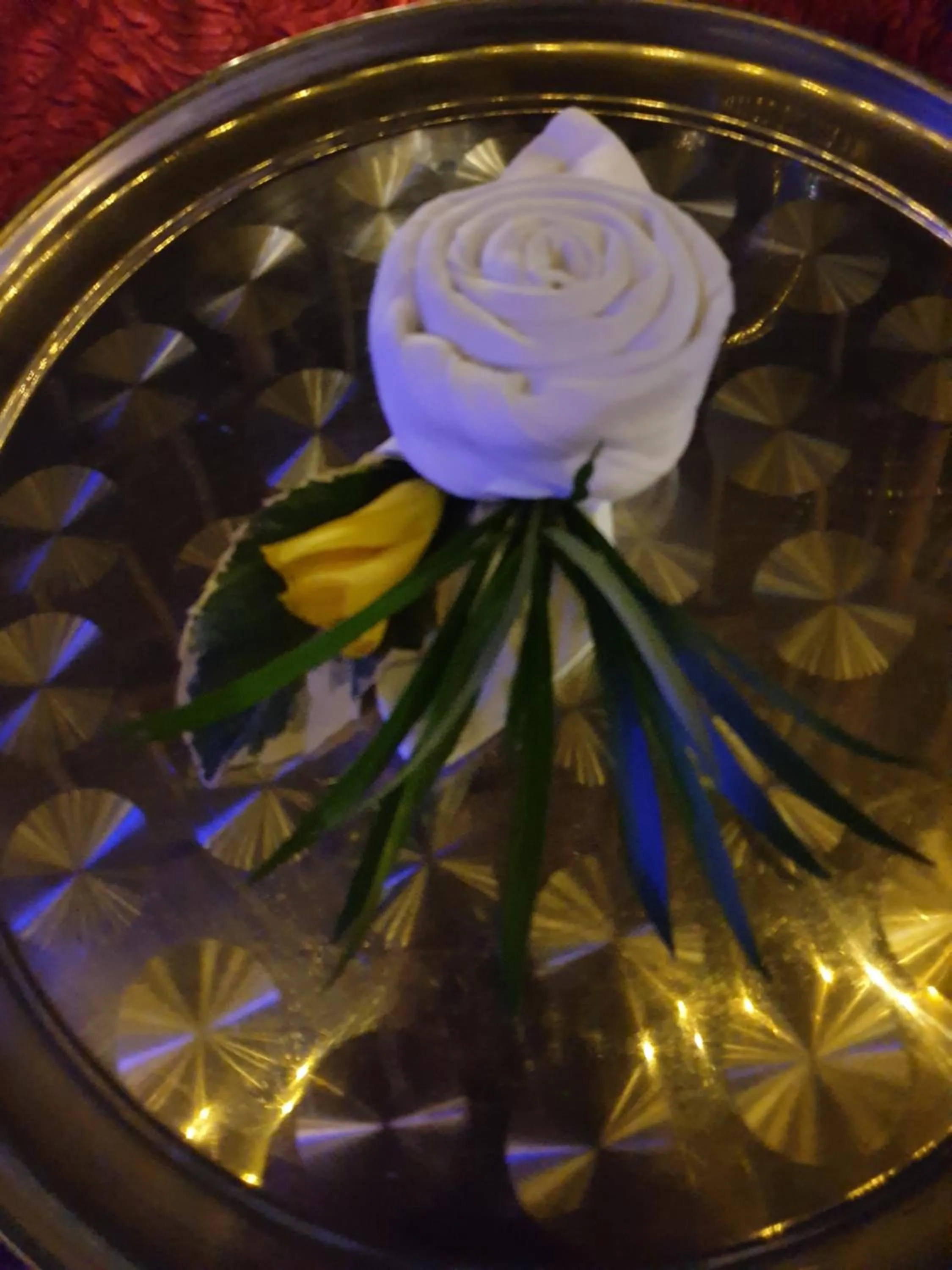 Restaurant/places to eat in Residence Maison Müge