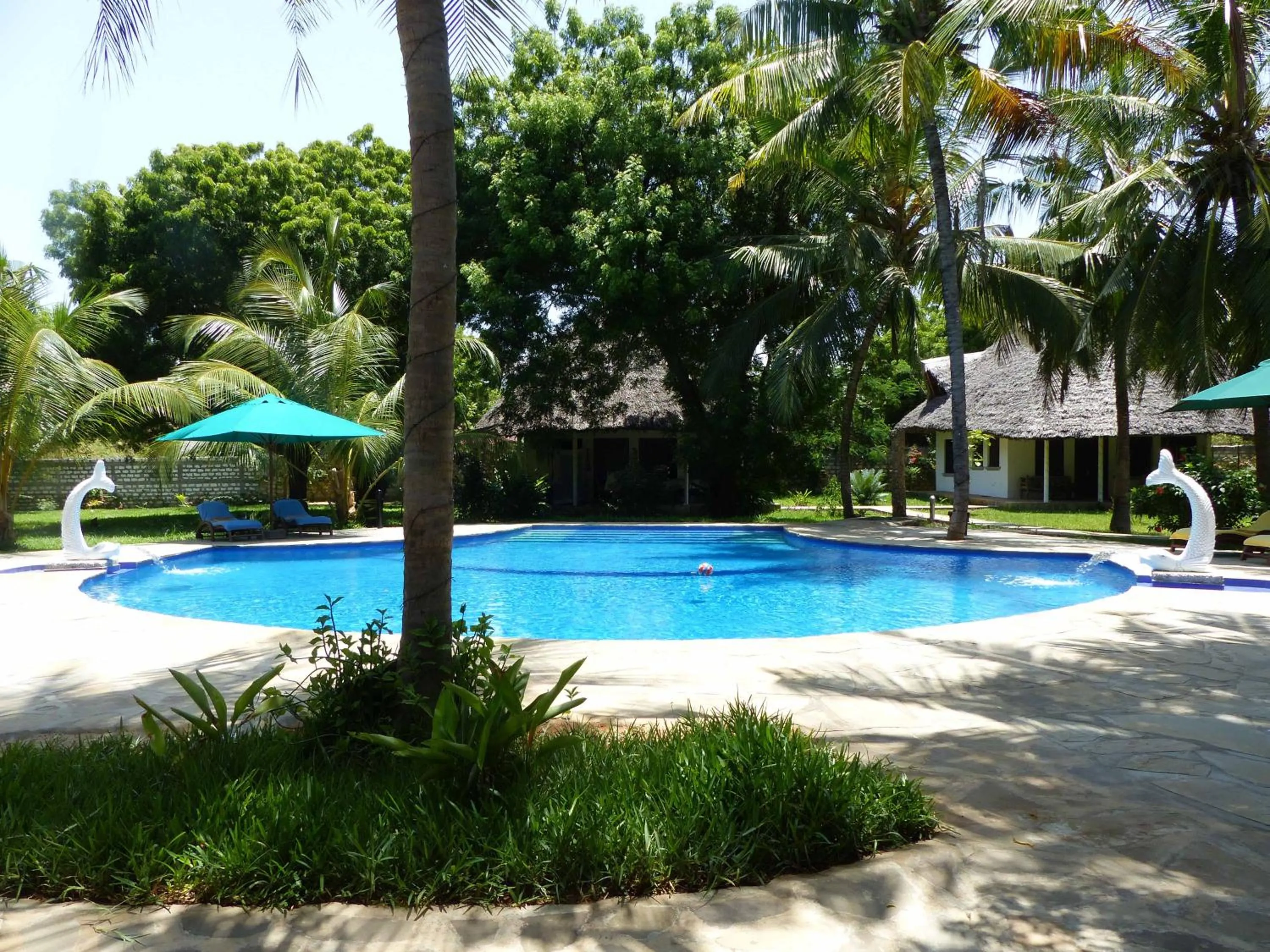 Swimming pool in Residence Maison Müge