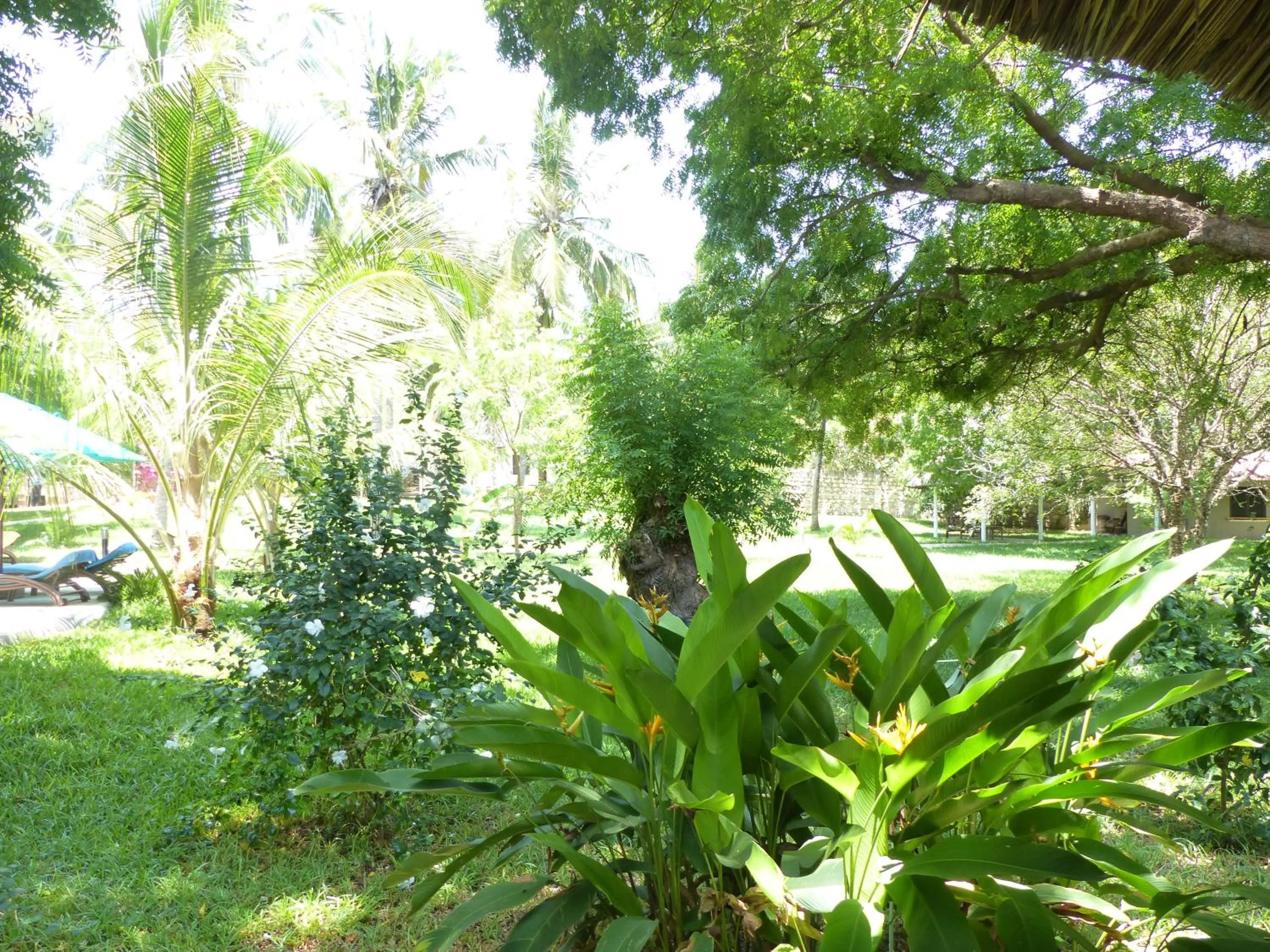 Garden in Residence Maison Müge