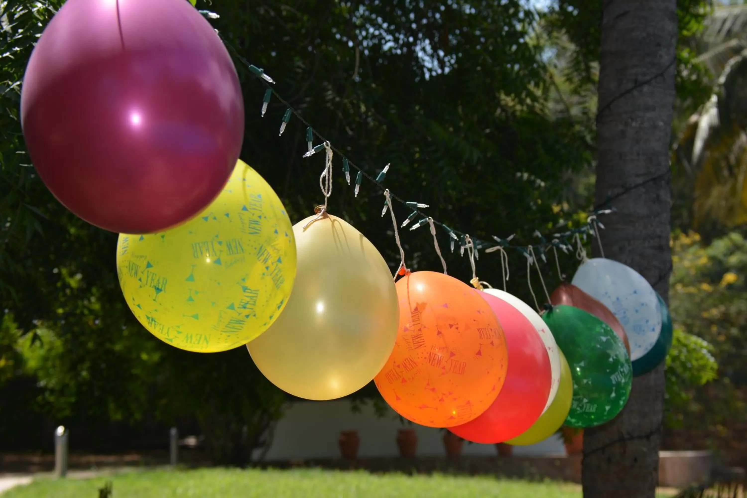 Entertainment in Residence Maison Müge