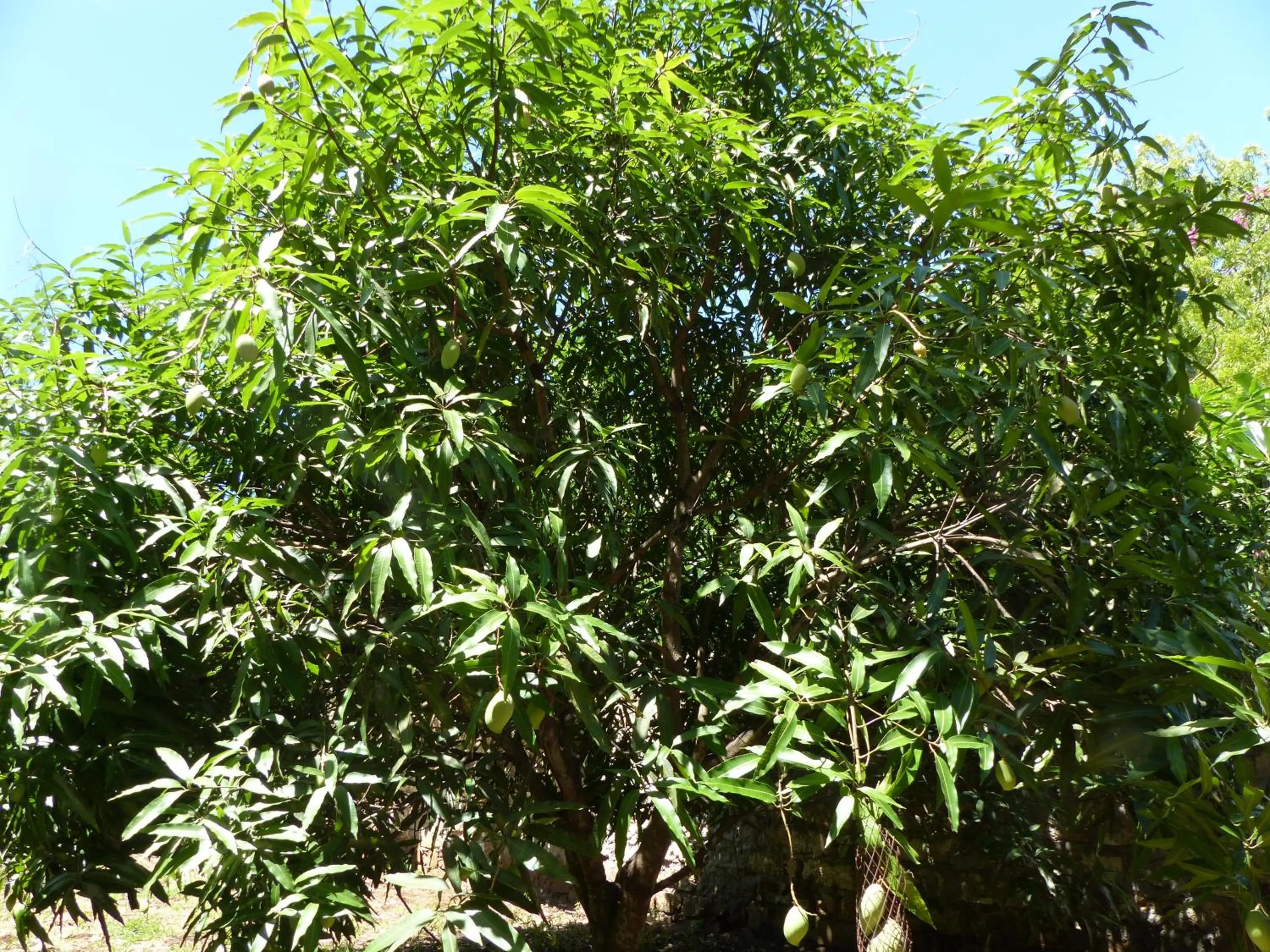 Garden in Residence Maison Müge