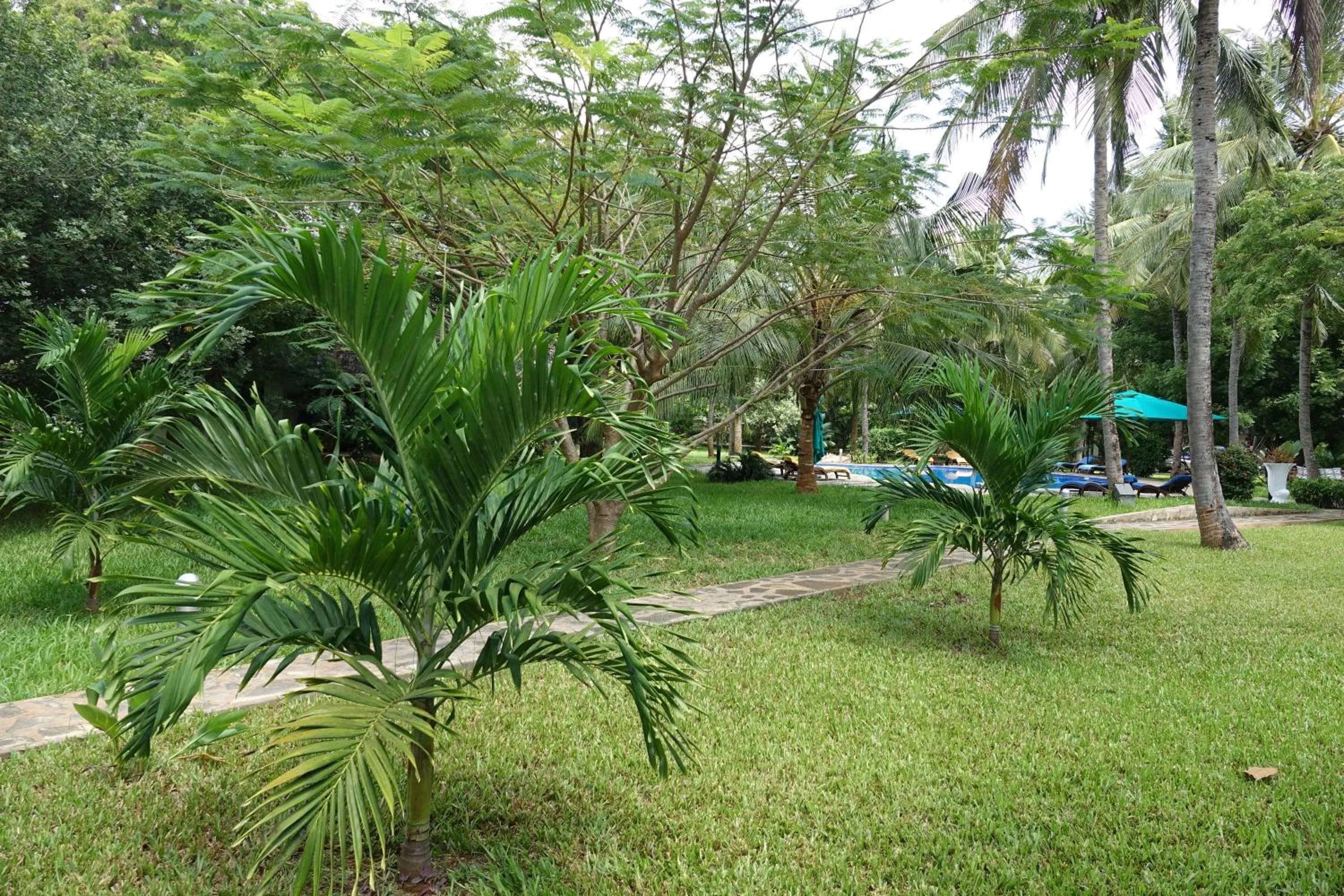 Garden in Residence Maison Müge