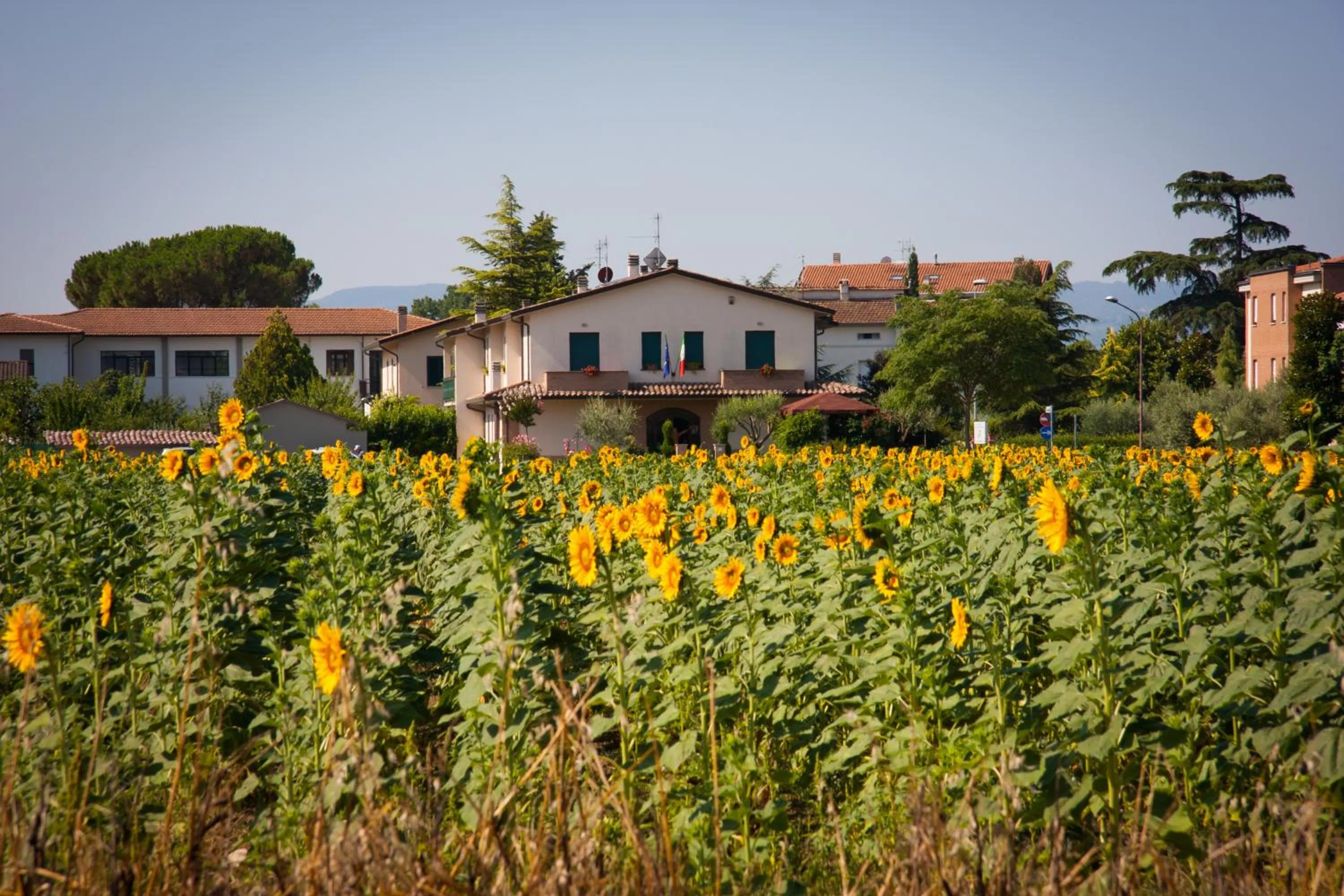 Other in P&P Assisi Camere