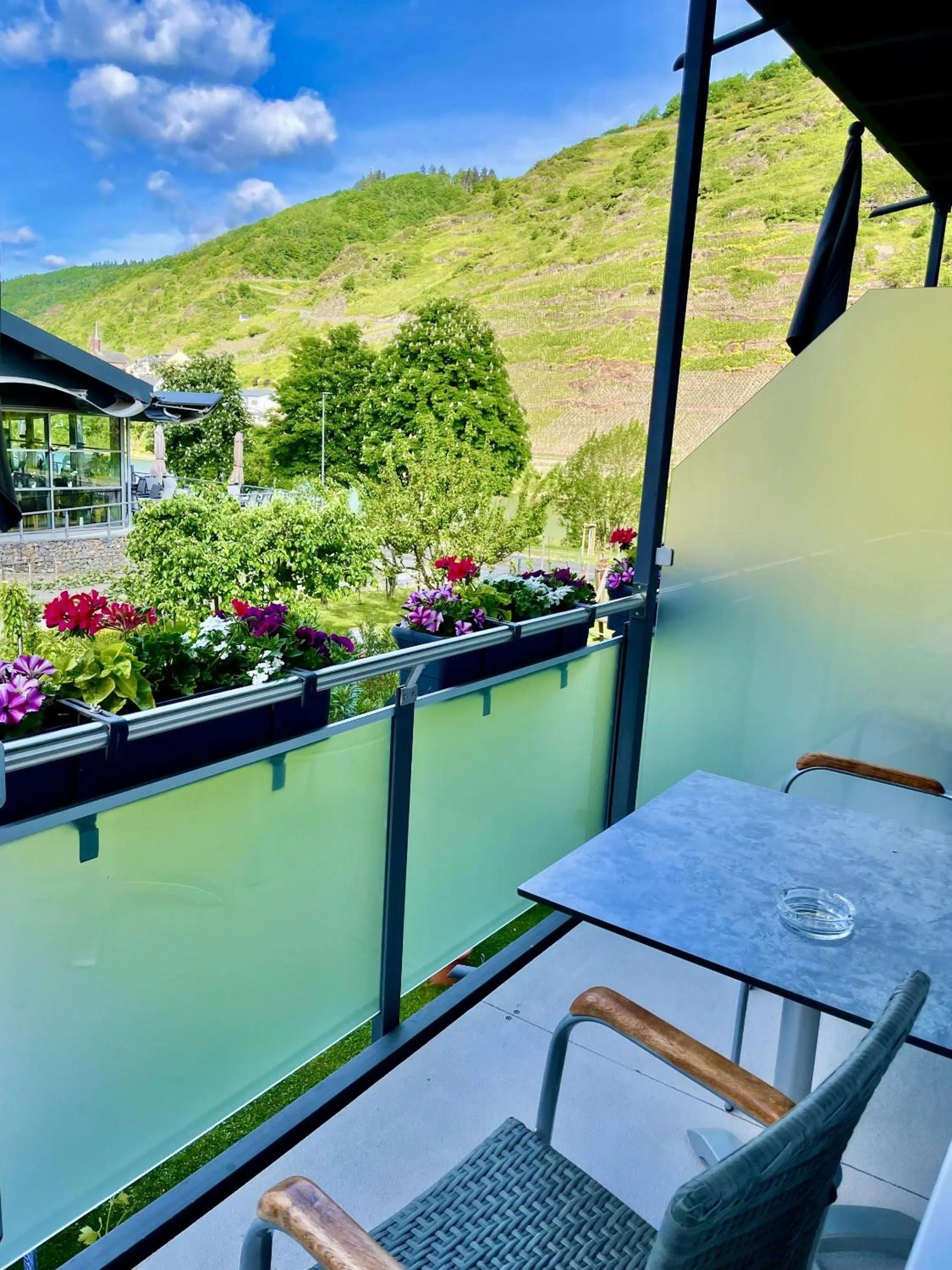 View (from property/room) in Weinbergs Loge